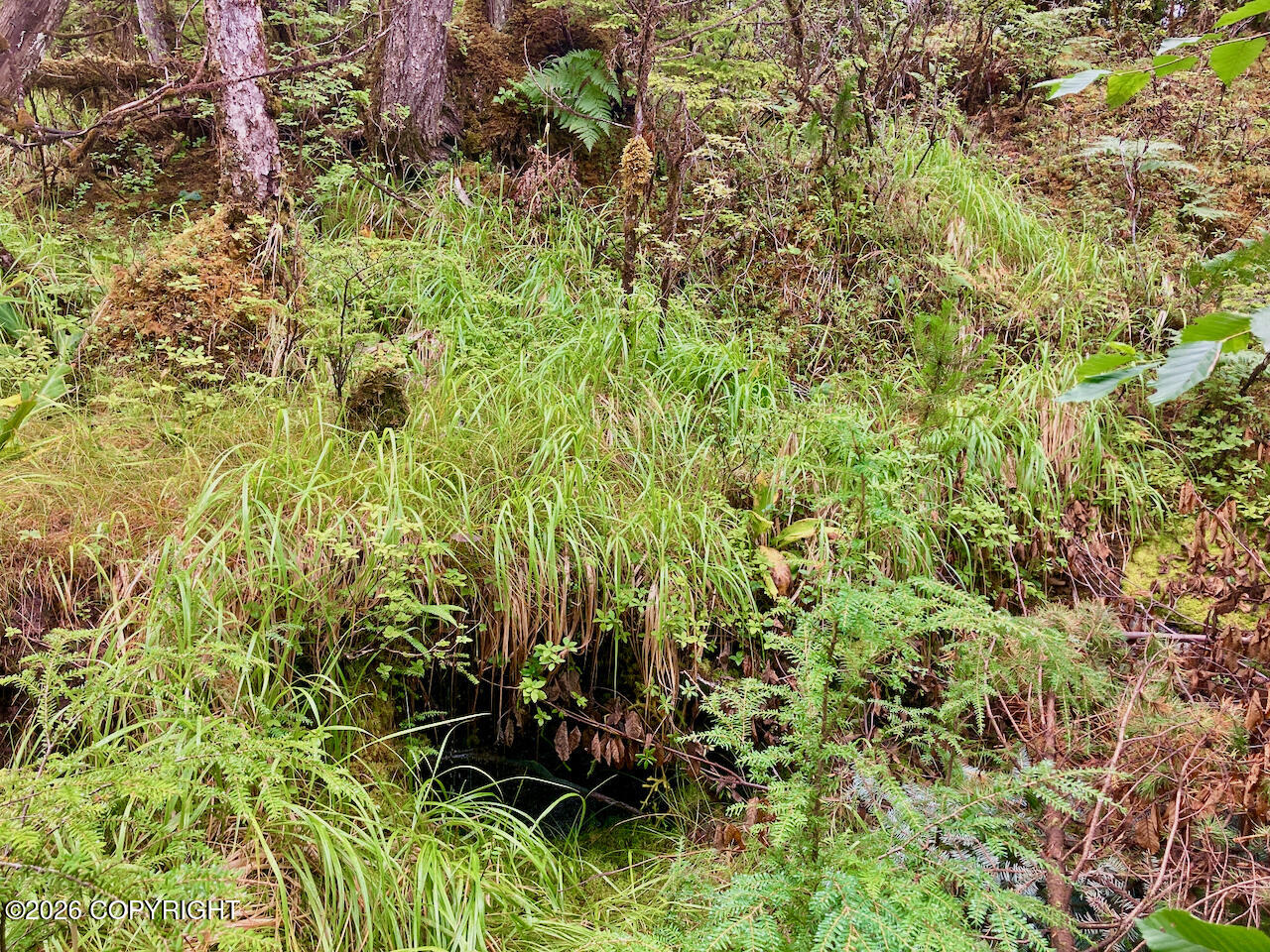 240 Se Logger's Lane Property Photo 21