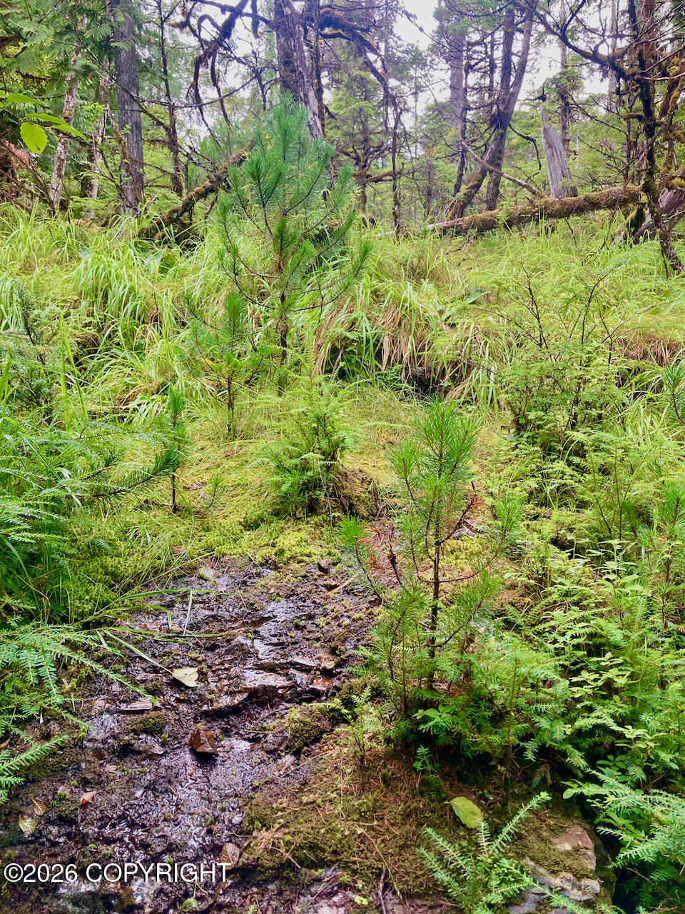 240 Se Logger's Lane Property Photo 23