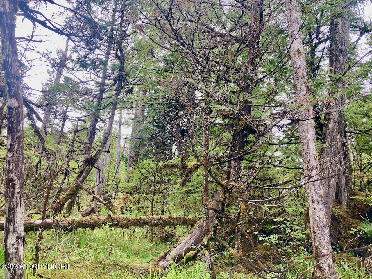 240 Se Logger's Lane Property Photo 24