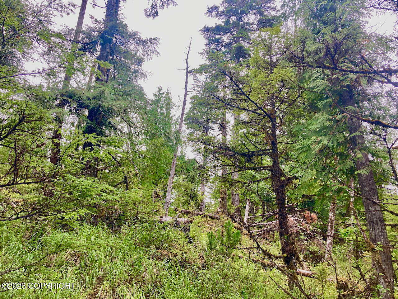 240 Se Logger's Lane Property Photo 25