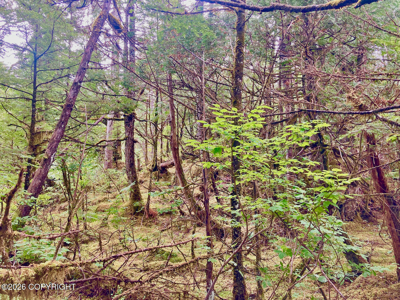 240 Se Logger's Lane Property Photo 26