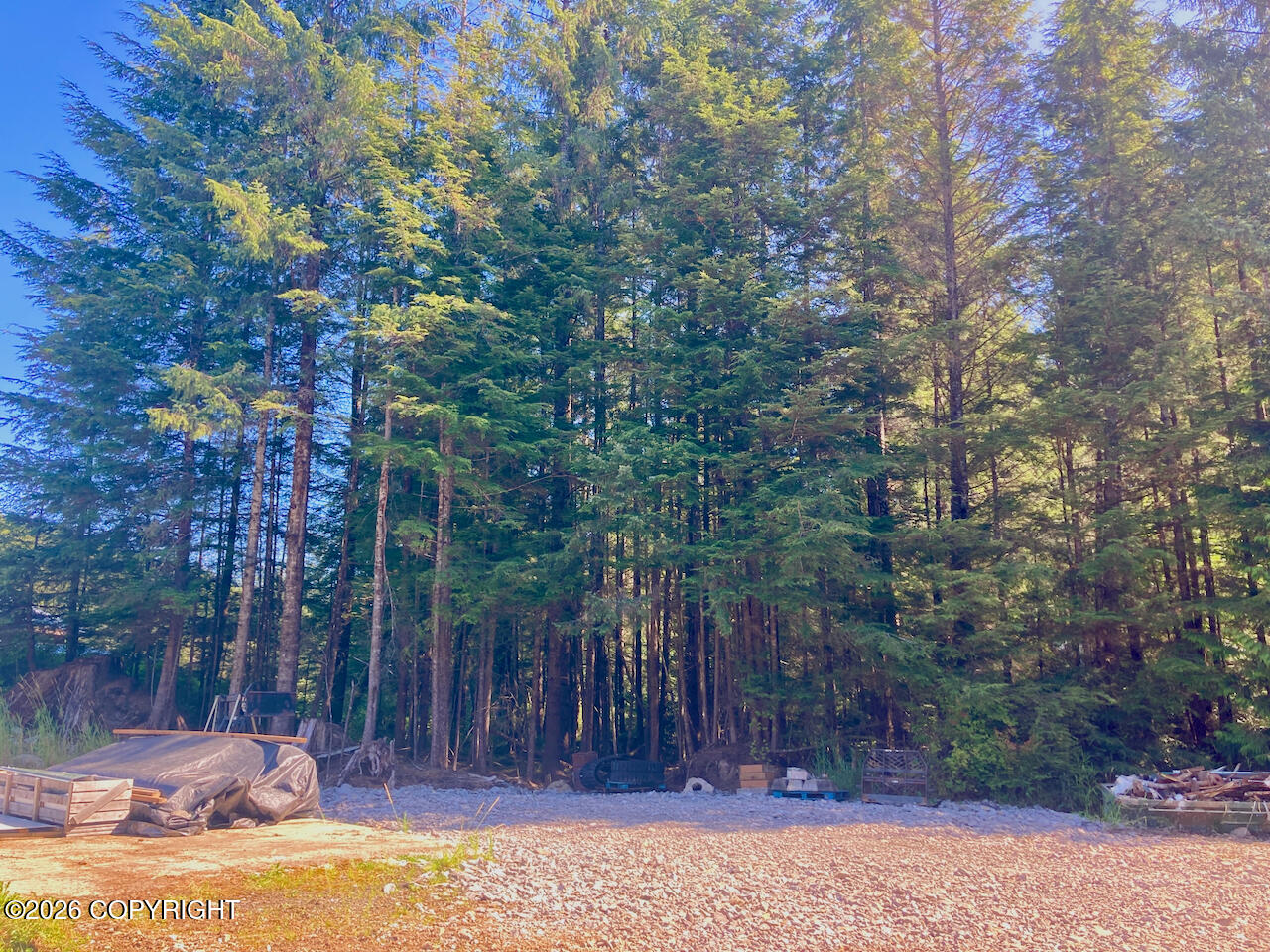 500 Heather Street Property Photo 63