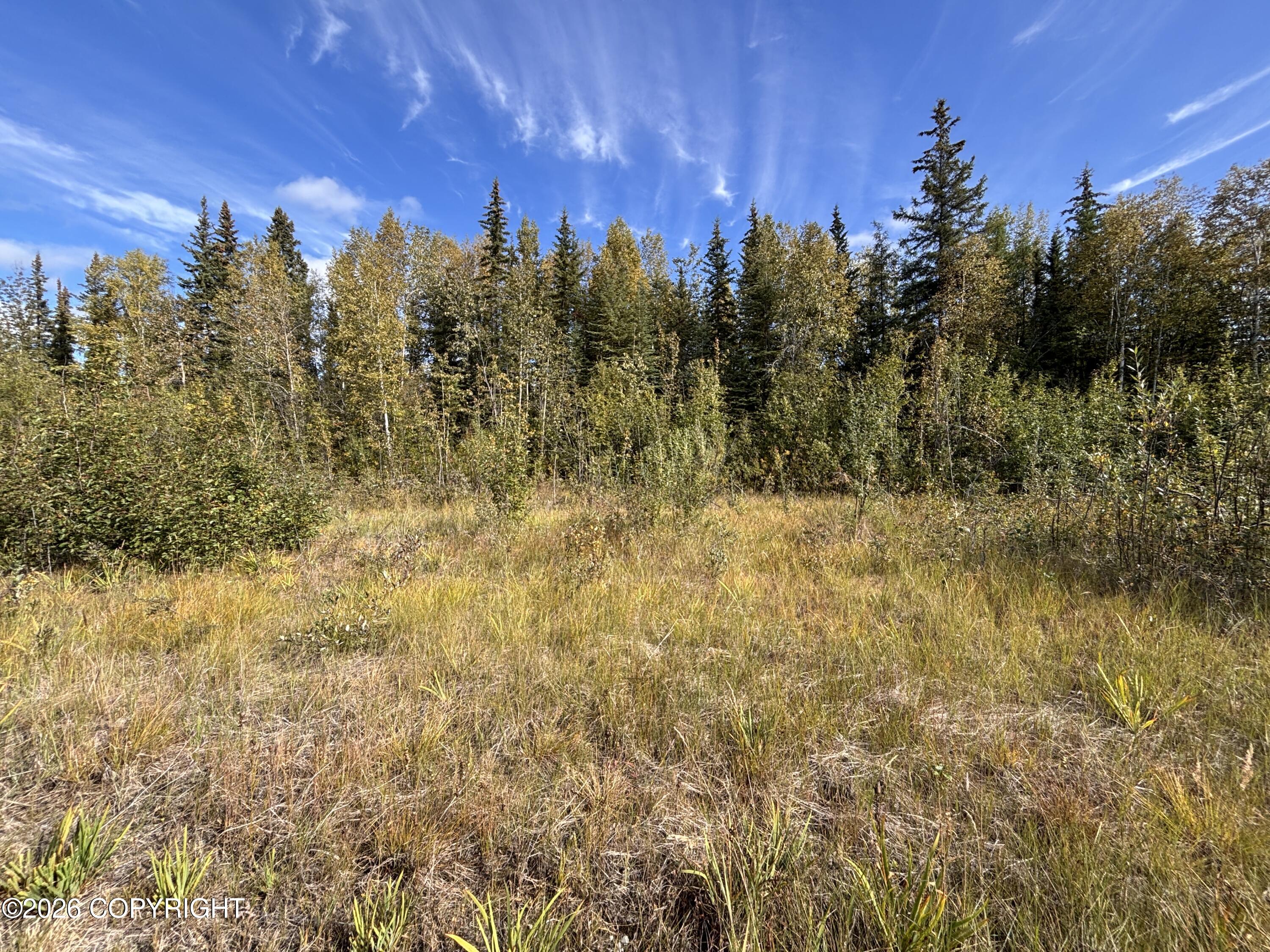 1673 Volleyball Court Property Photo 60