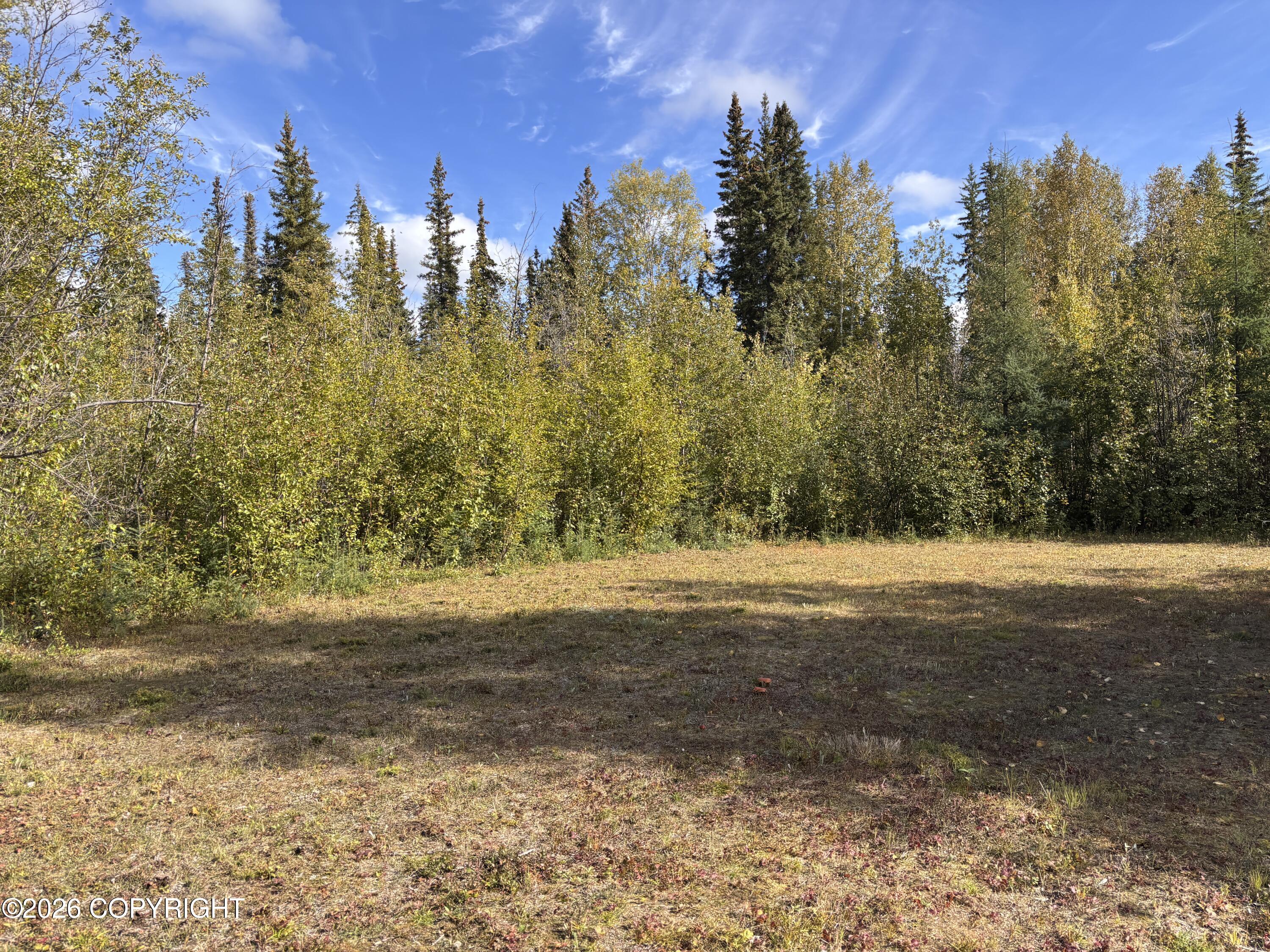 1673 Volleyball Court Property Photo 62