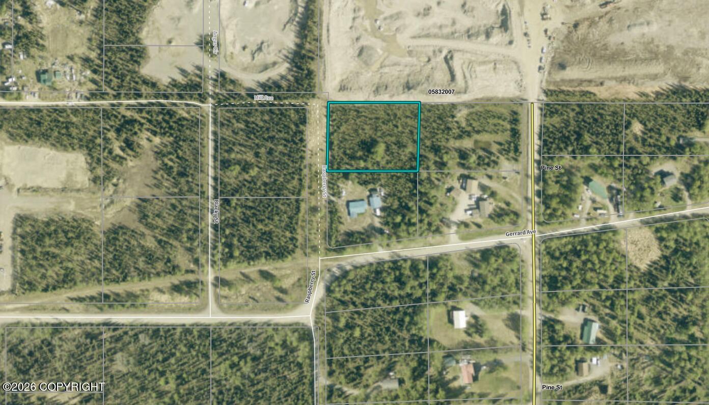 36728 Raspberry Street Property Photo 2