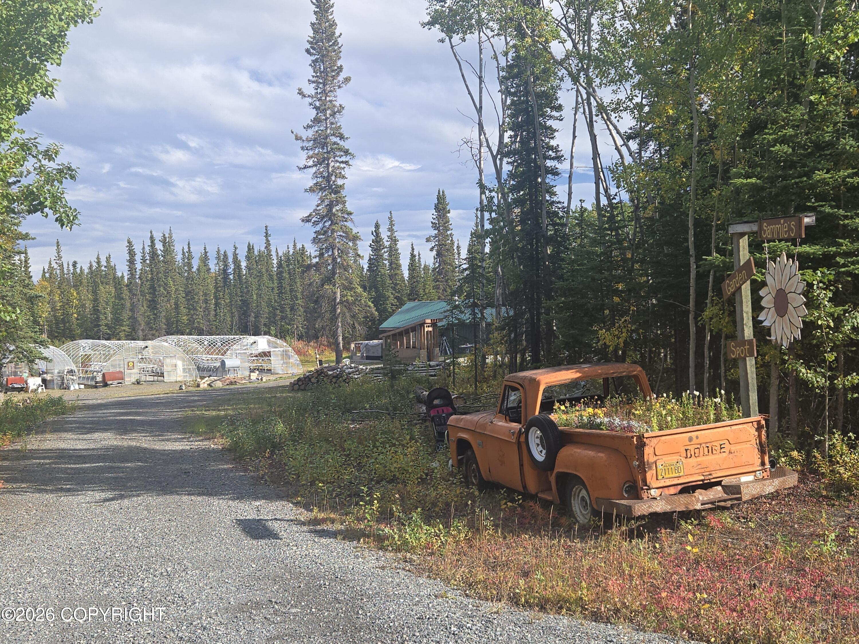 Mile 91.5 Richardson Highway Property Photo 2
