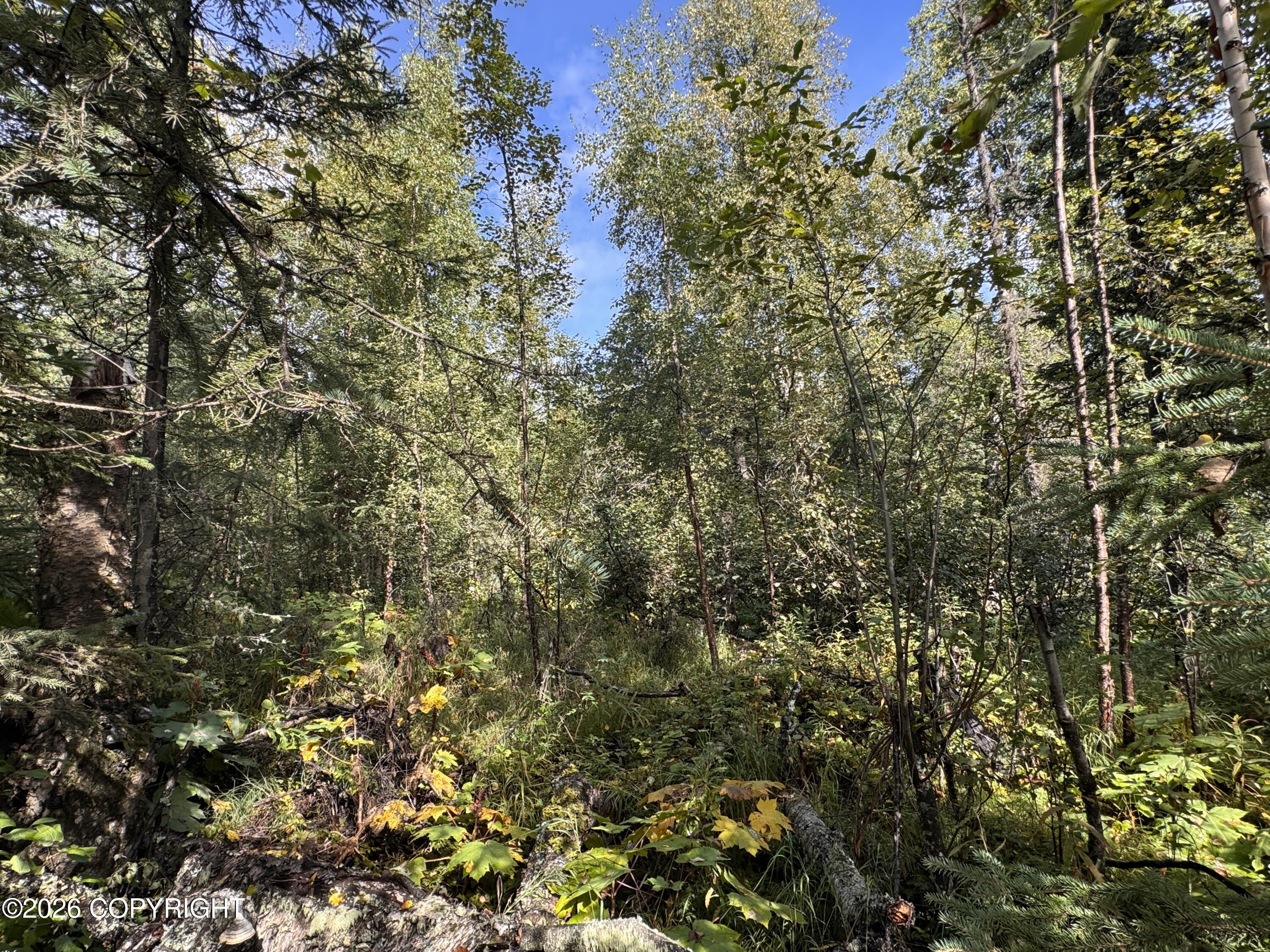 12213 W King Arthur Drive Property Photo 4
