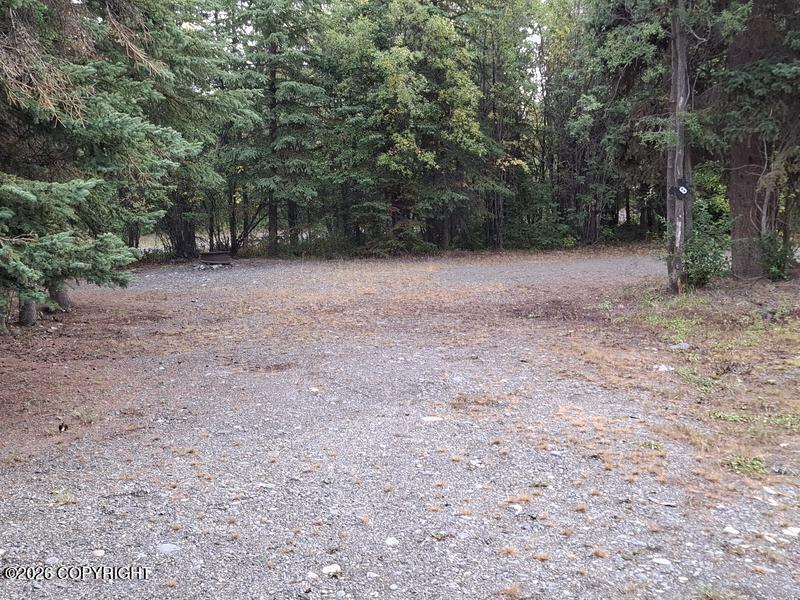 7.2 Alaska Route 10 Property Photo 35