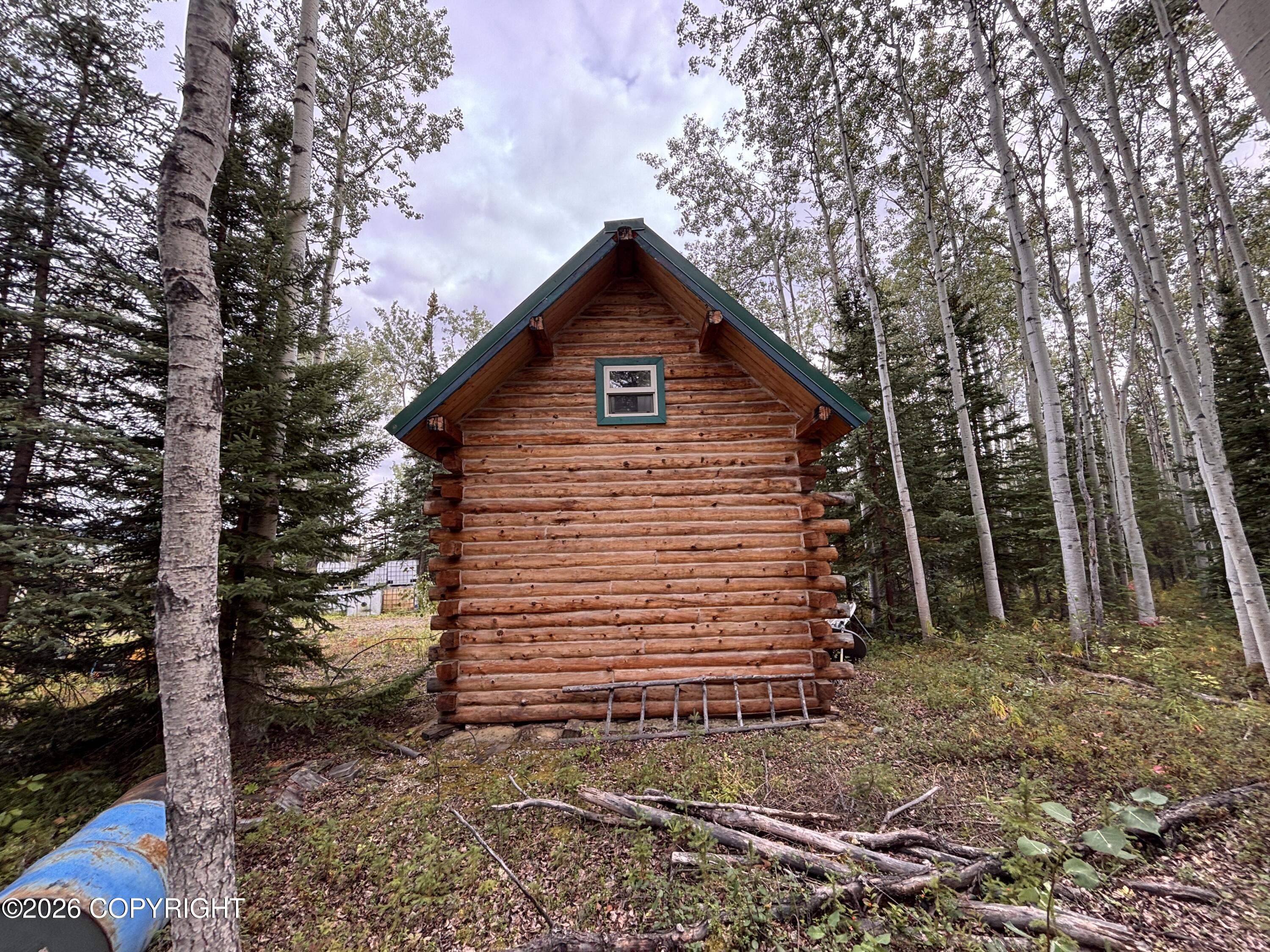 276.5 Parks Highway Property Photo 60