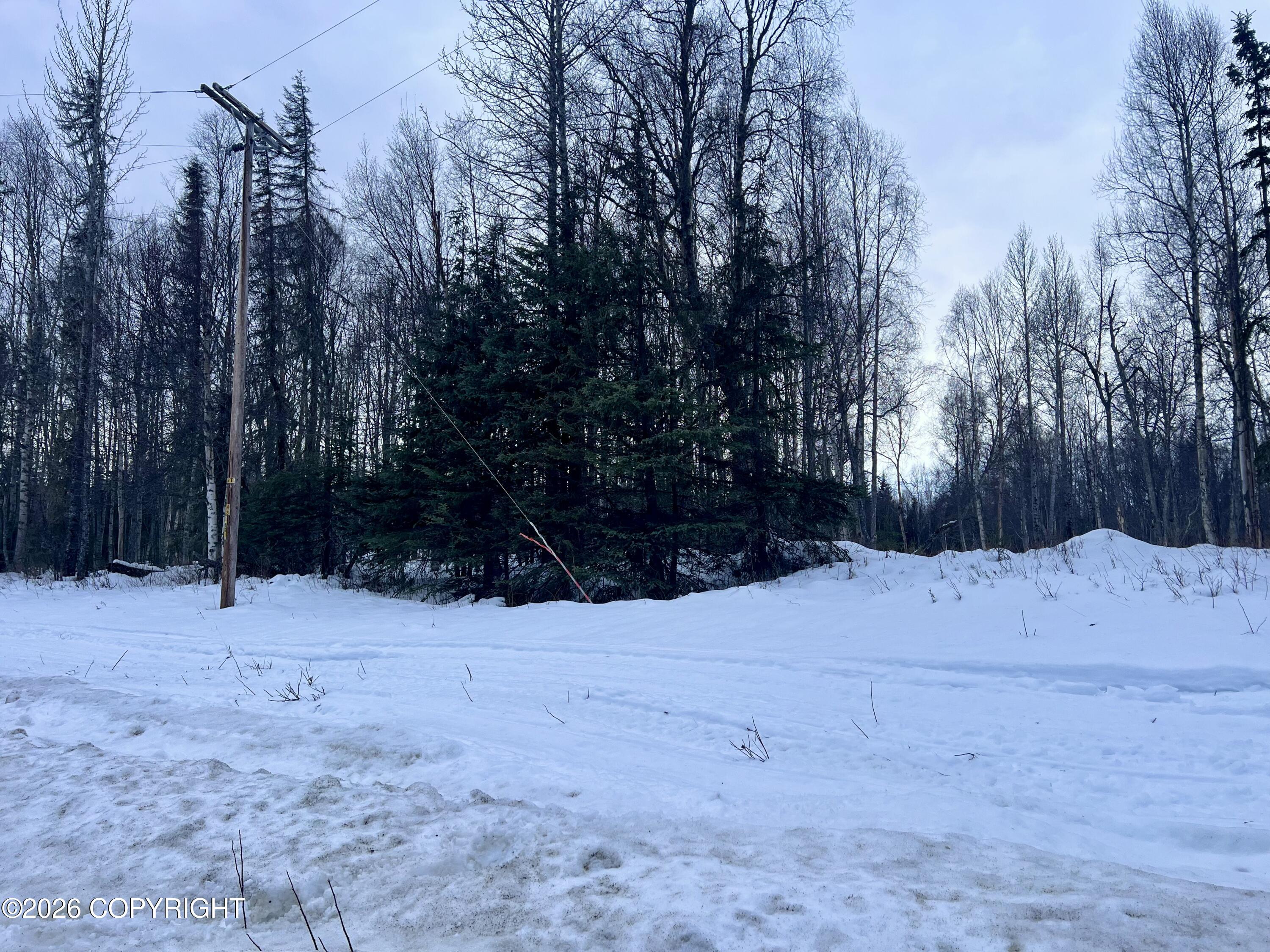 48672 Miller Loop Road Property Photo 17
