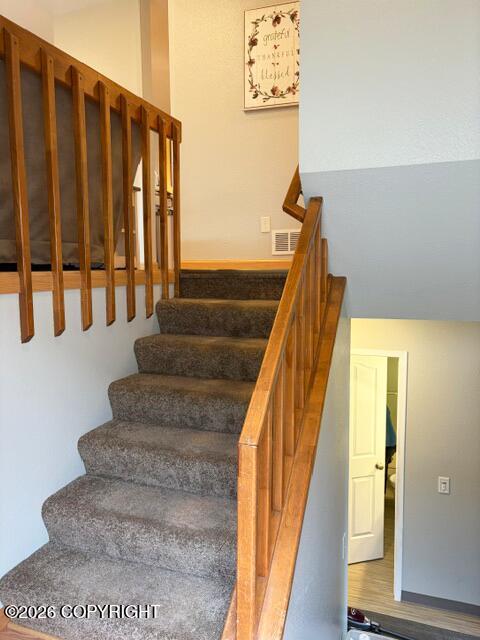 10301 Betula Drive Property Photo 3