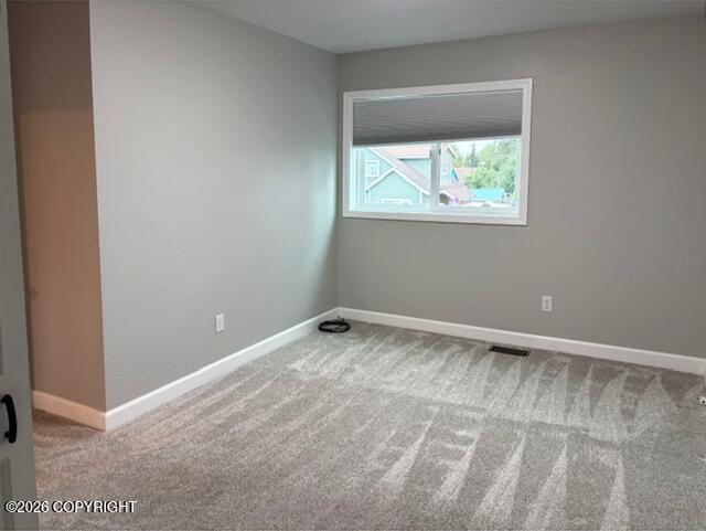 10301 Betula Drive Property Photo 21