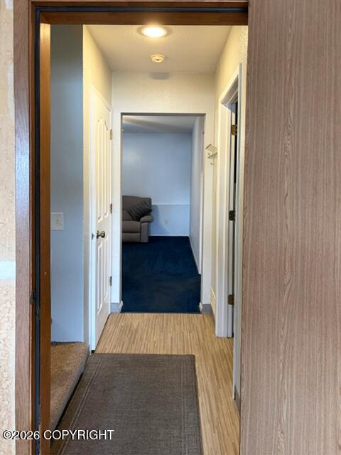 10301 Betula Drive Property Photo 34