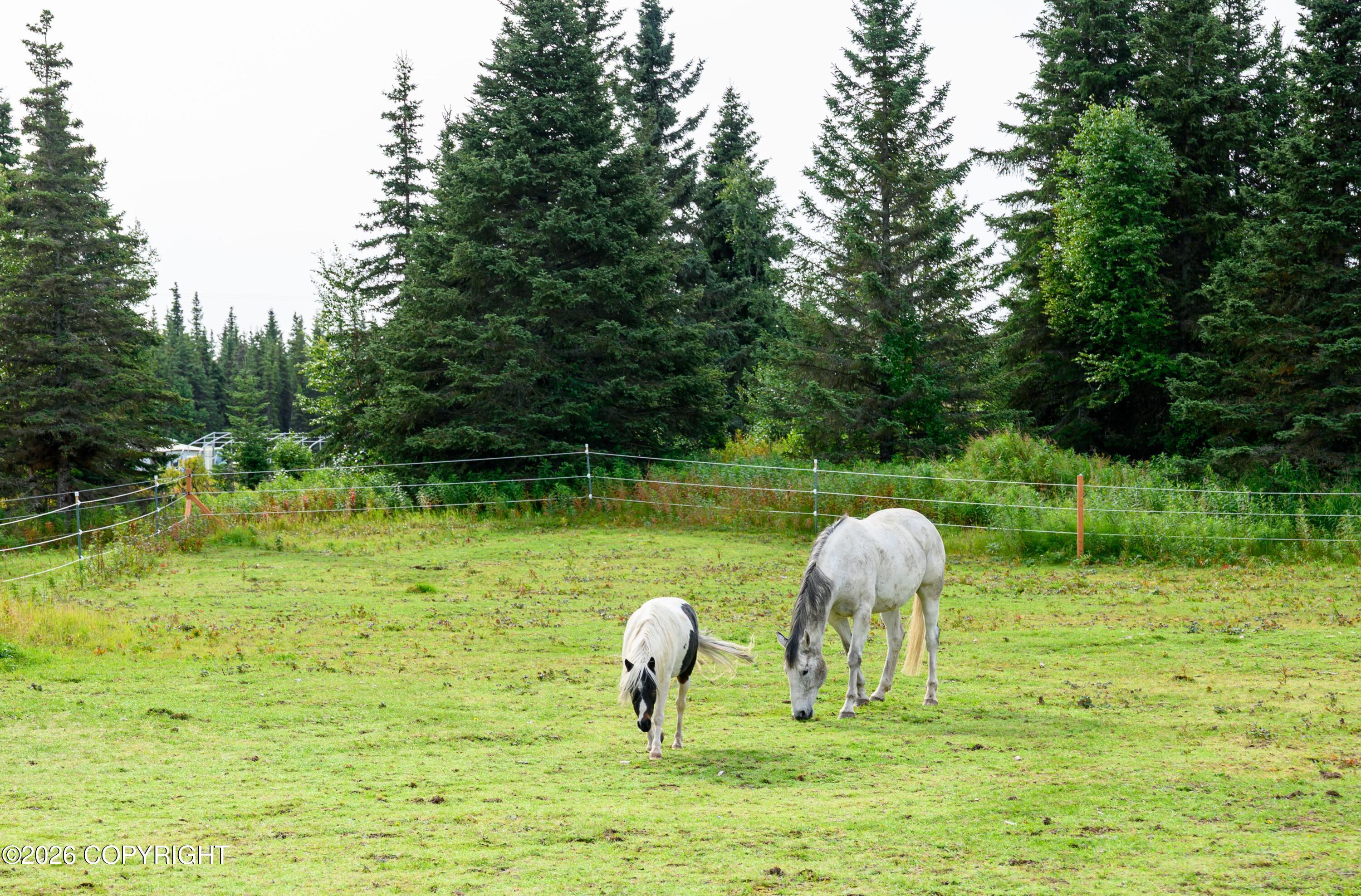 27155 Cloyds Road Property Photo 19