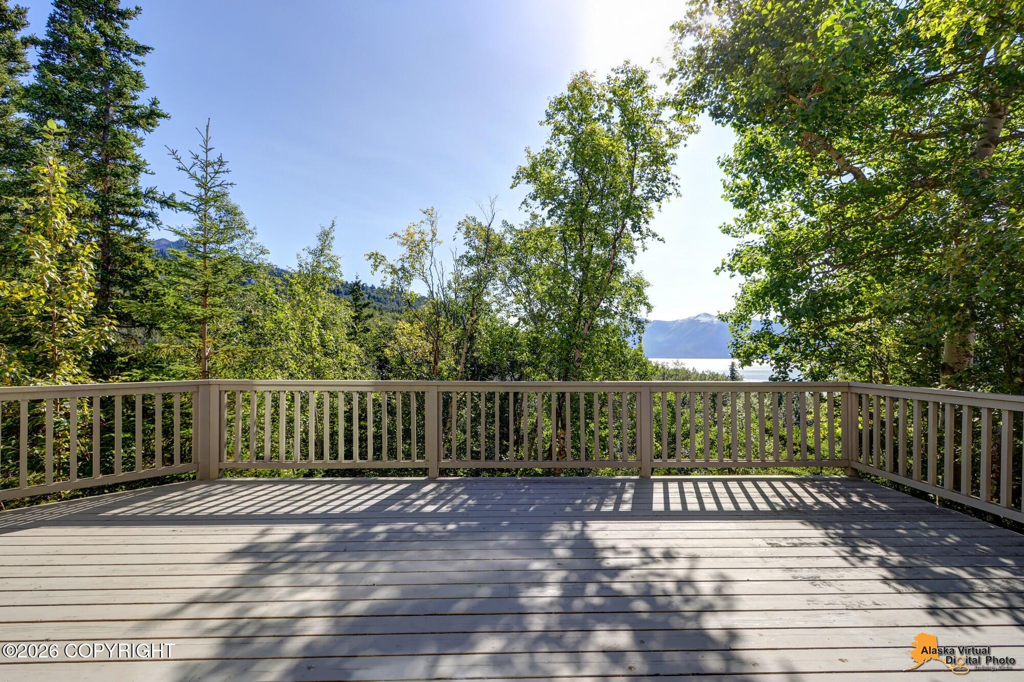 4742 Potter Crest Circle Property Photo 19