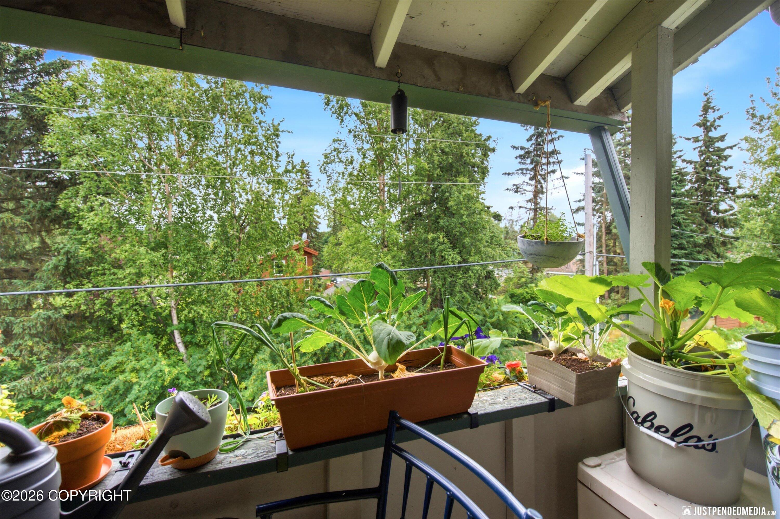 241 Mccarrey Street #16 Property Photo 18