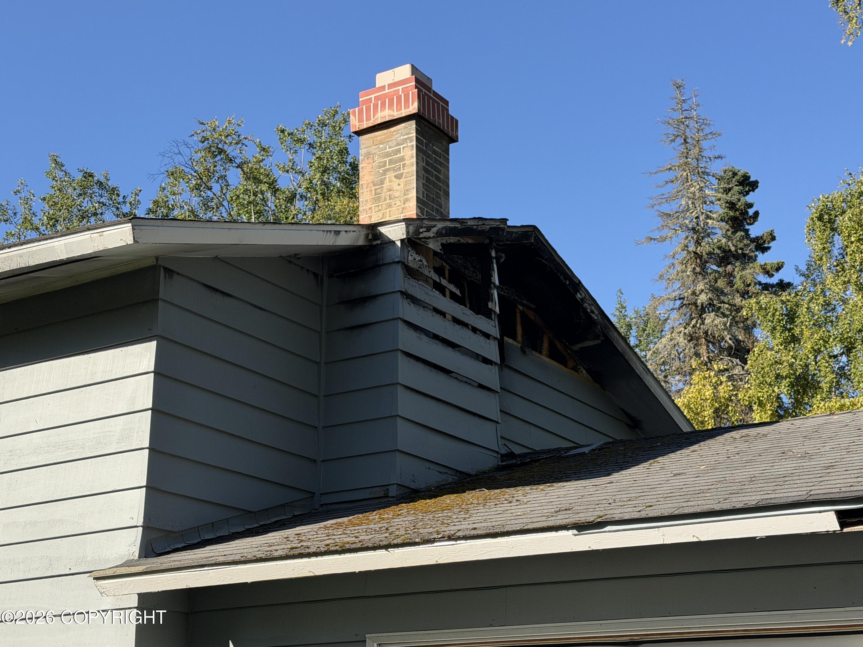 509 Ash Avenue Property Photo 5