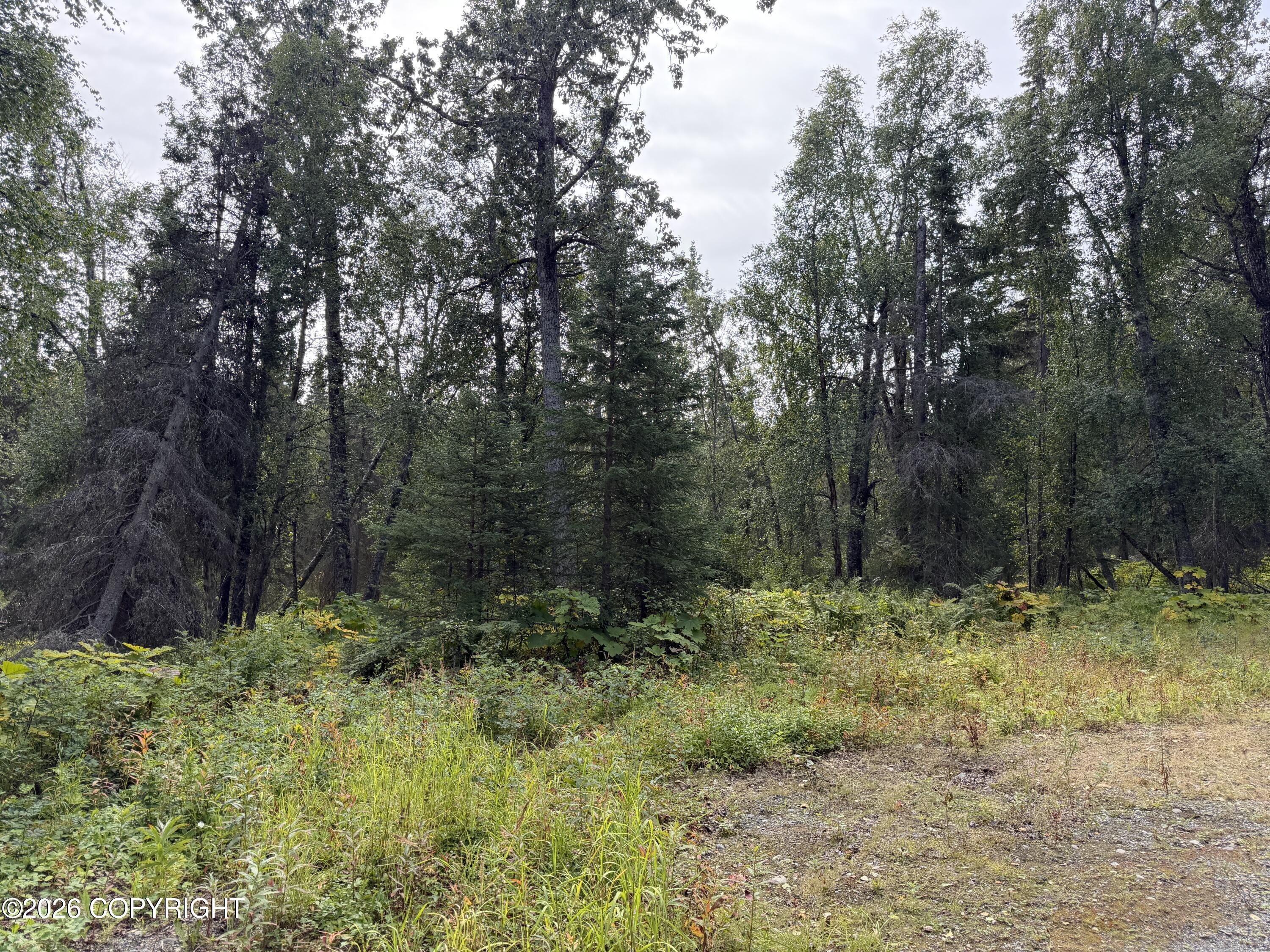 52077 Pipeline Road Property Photo 37