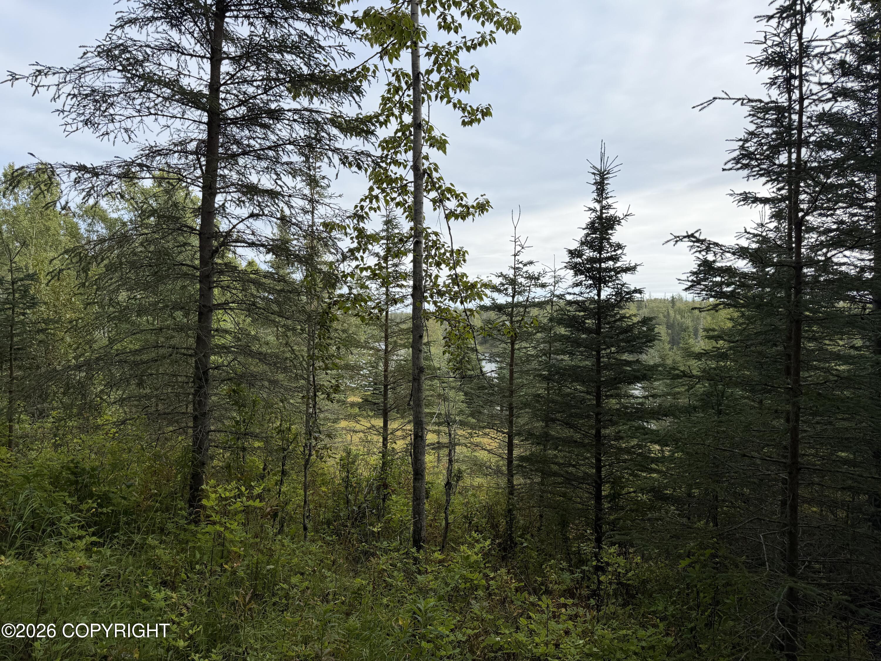52077 Pipeline Road Property Photo 39
