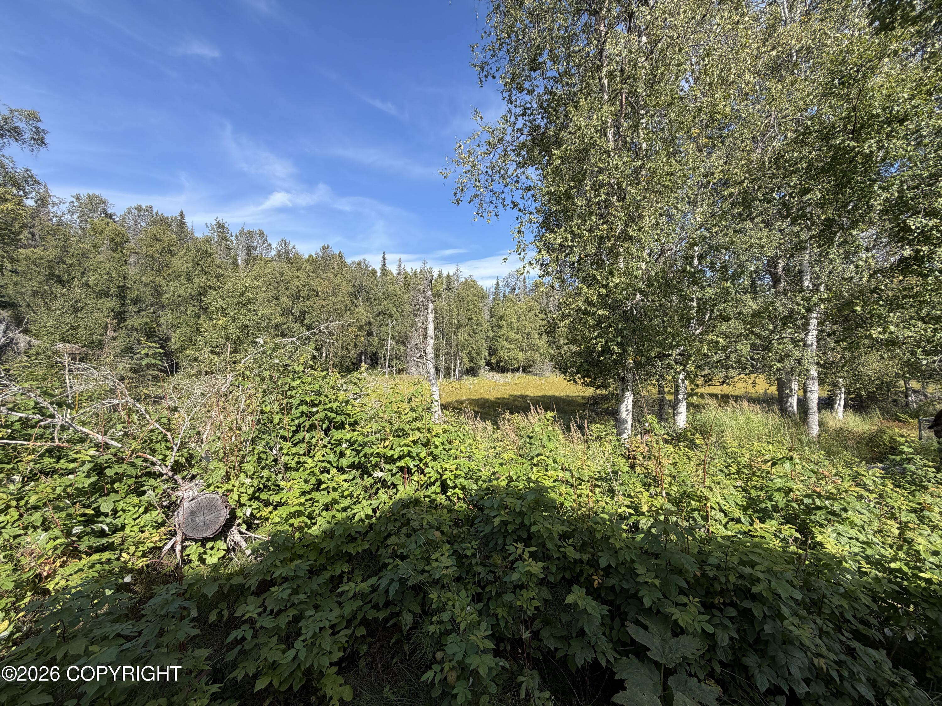 52077 Pipeline Road Property Photo 58
