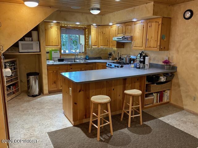 35125 Rabbit Run Road Property Photo 4