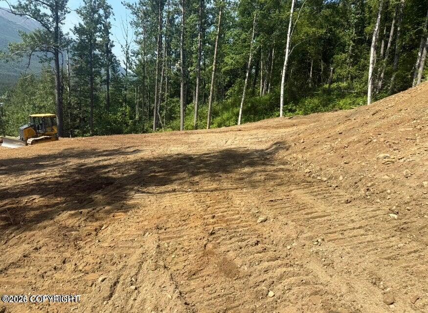 4383 Lower Kogru Drive Property Photo 6