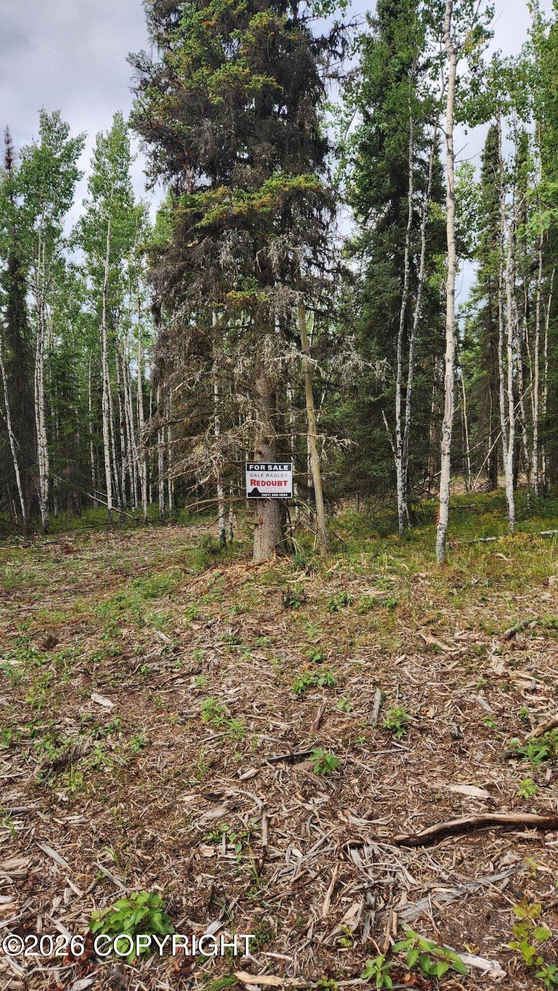37583 Scout Street Property Photo 2