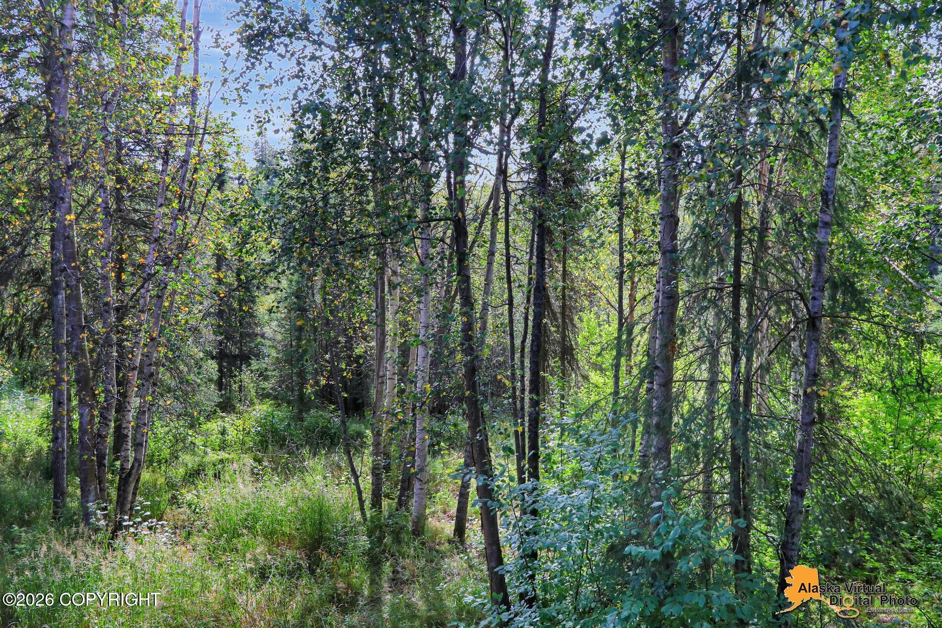 2069 Cliffside Drive #21b-5 Property Photo 49
