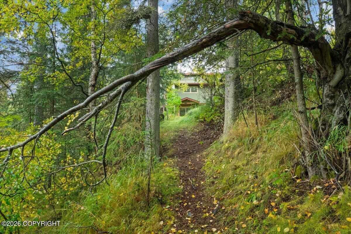 4700 Rabbit Creek Road Property Photo 86
