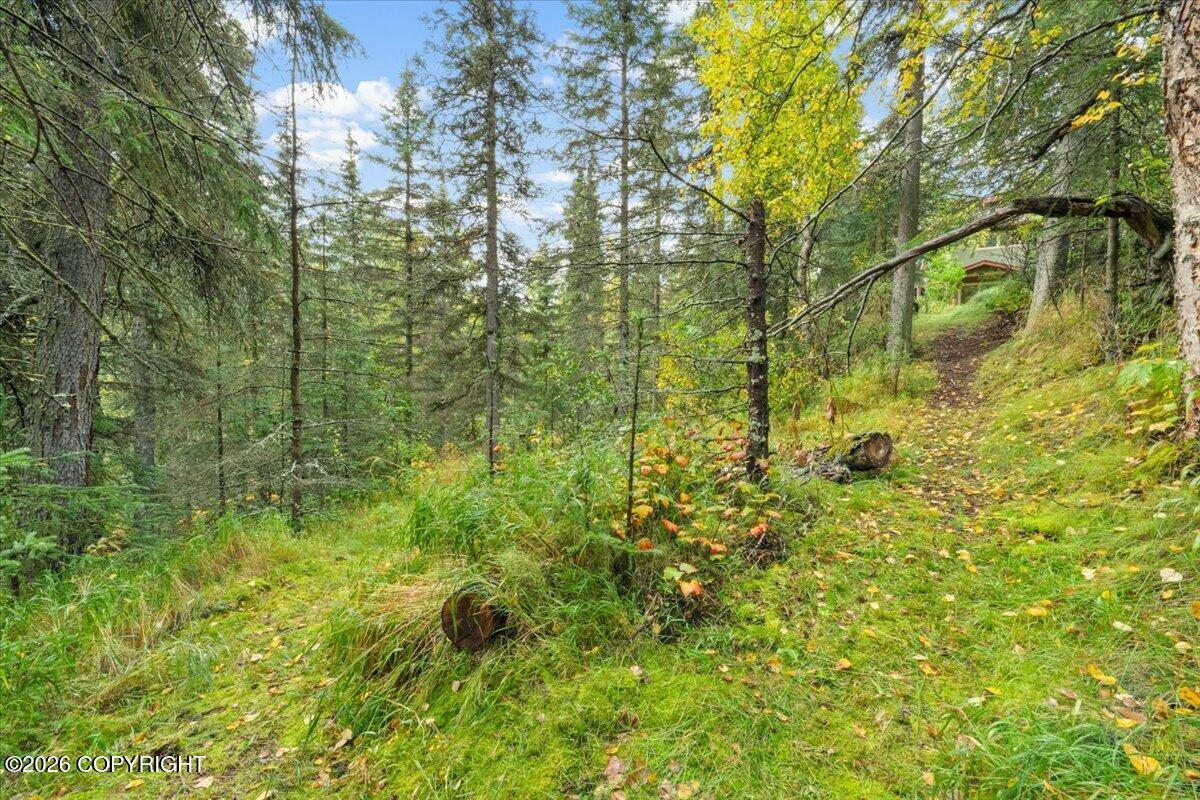 4700 Rabbit Creek Road Property Photo 87