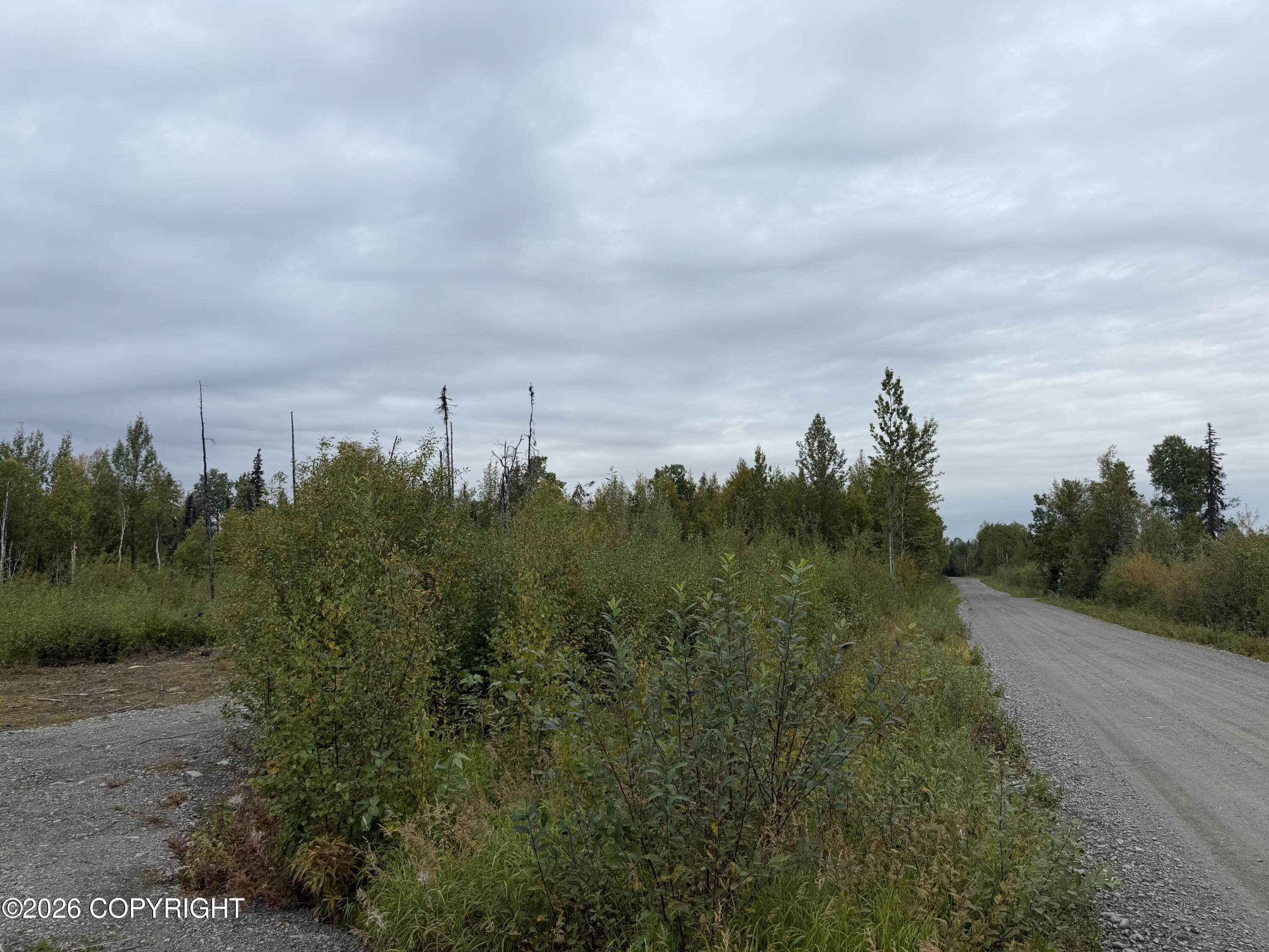 47002 S Susitna Street Property Photo 2