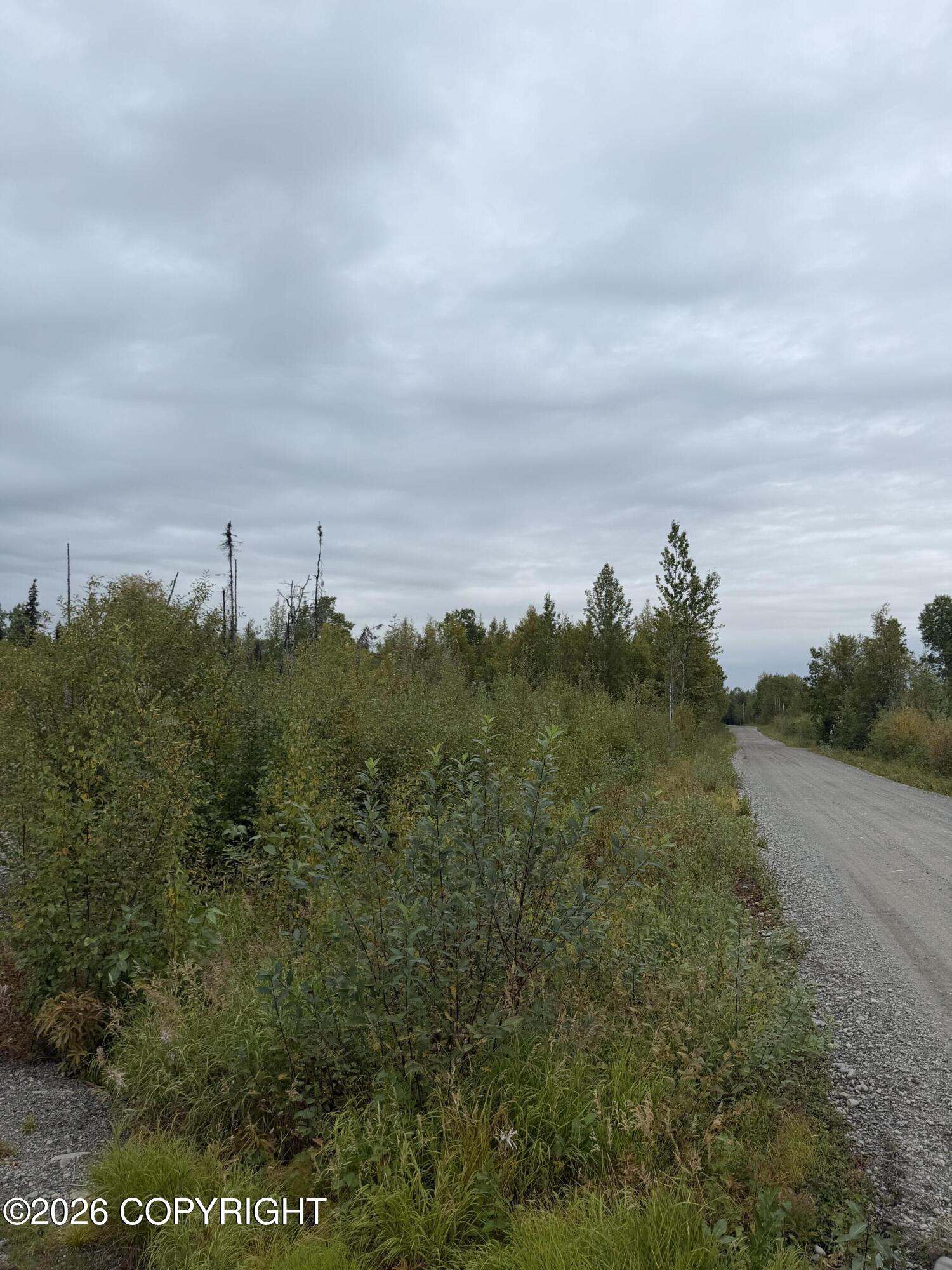 47002 S Susitna Street Property Photo 3