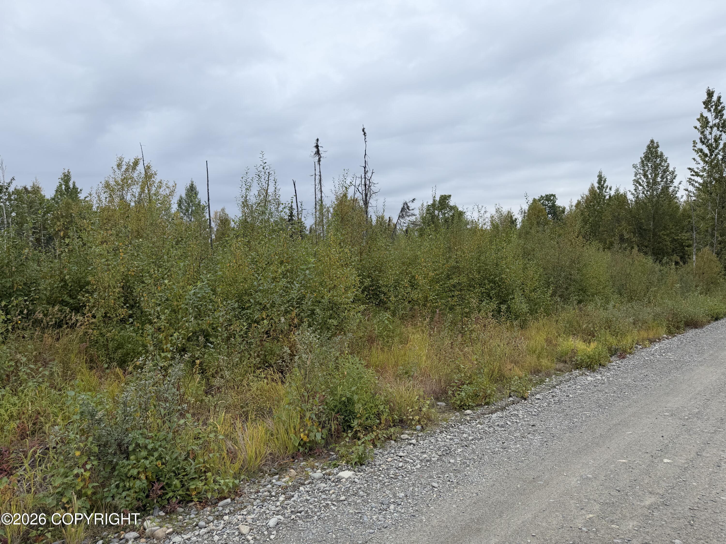 47002 S Susitna Street Property Photo 4