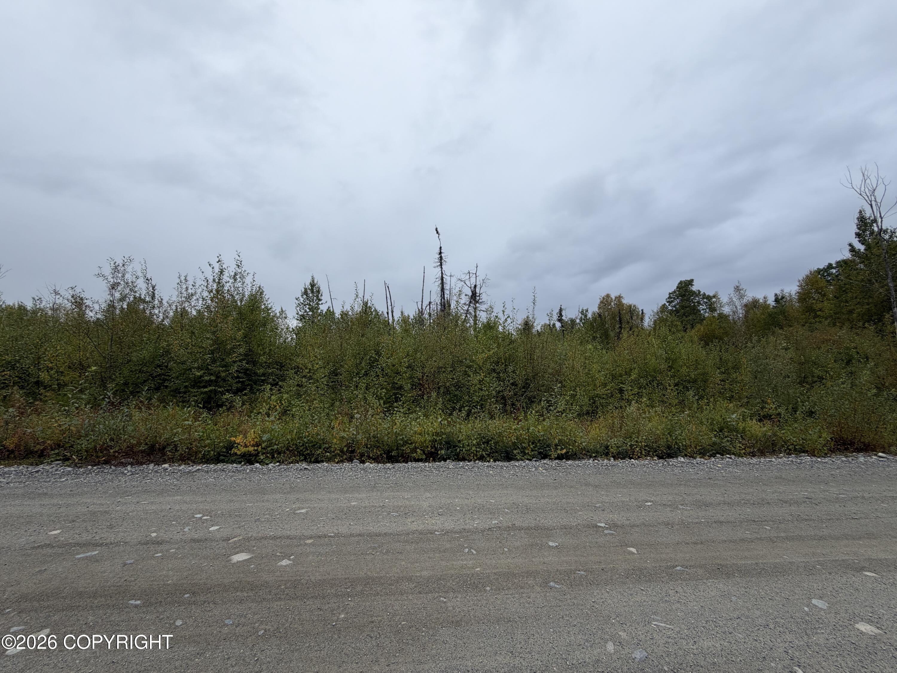 47002 S Susitna Street Property Photo 5