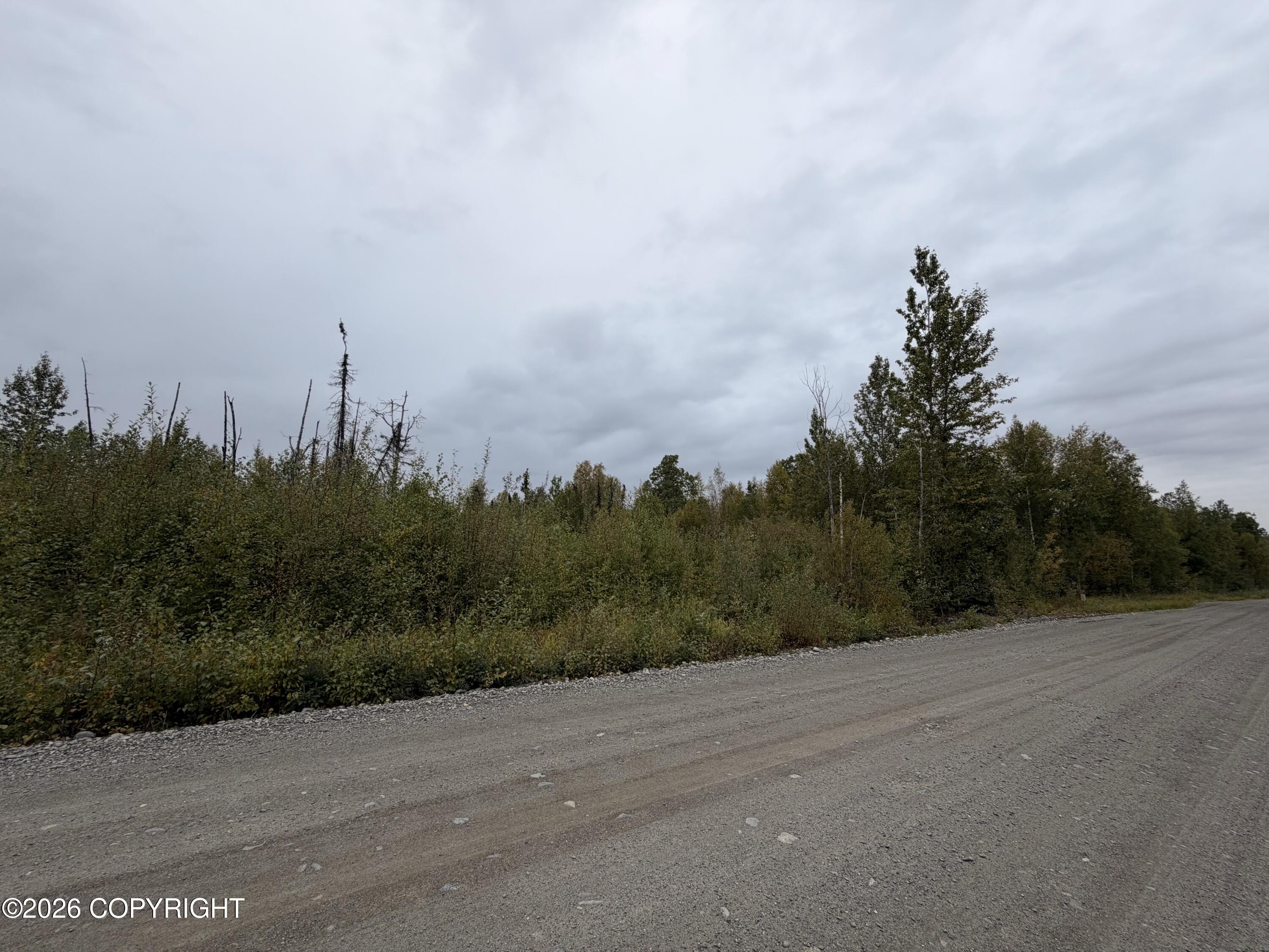 47002 S Susitna Street Property Photo 6