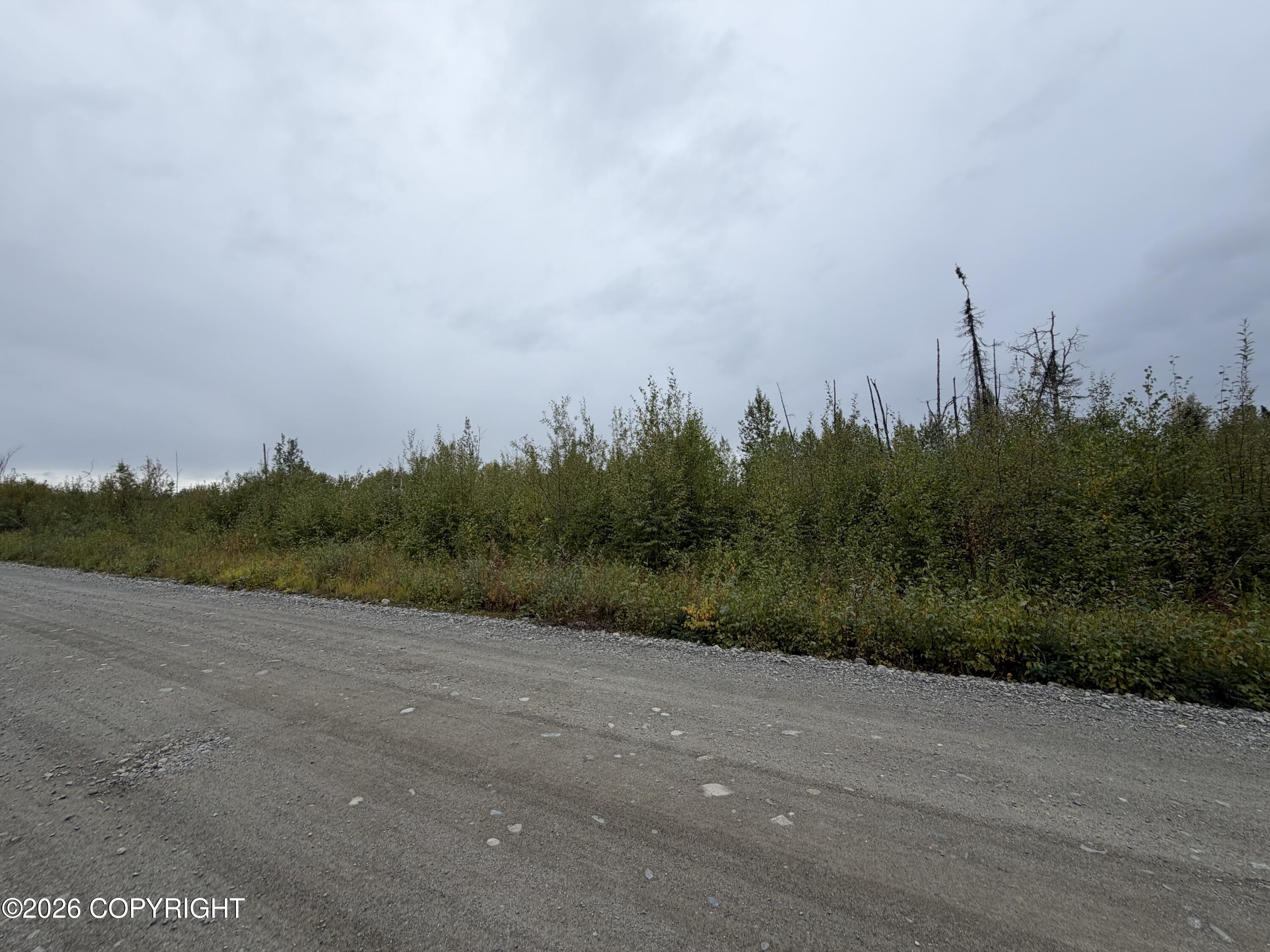 47002 S Susitna Street Property Photo 7
