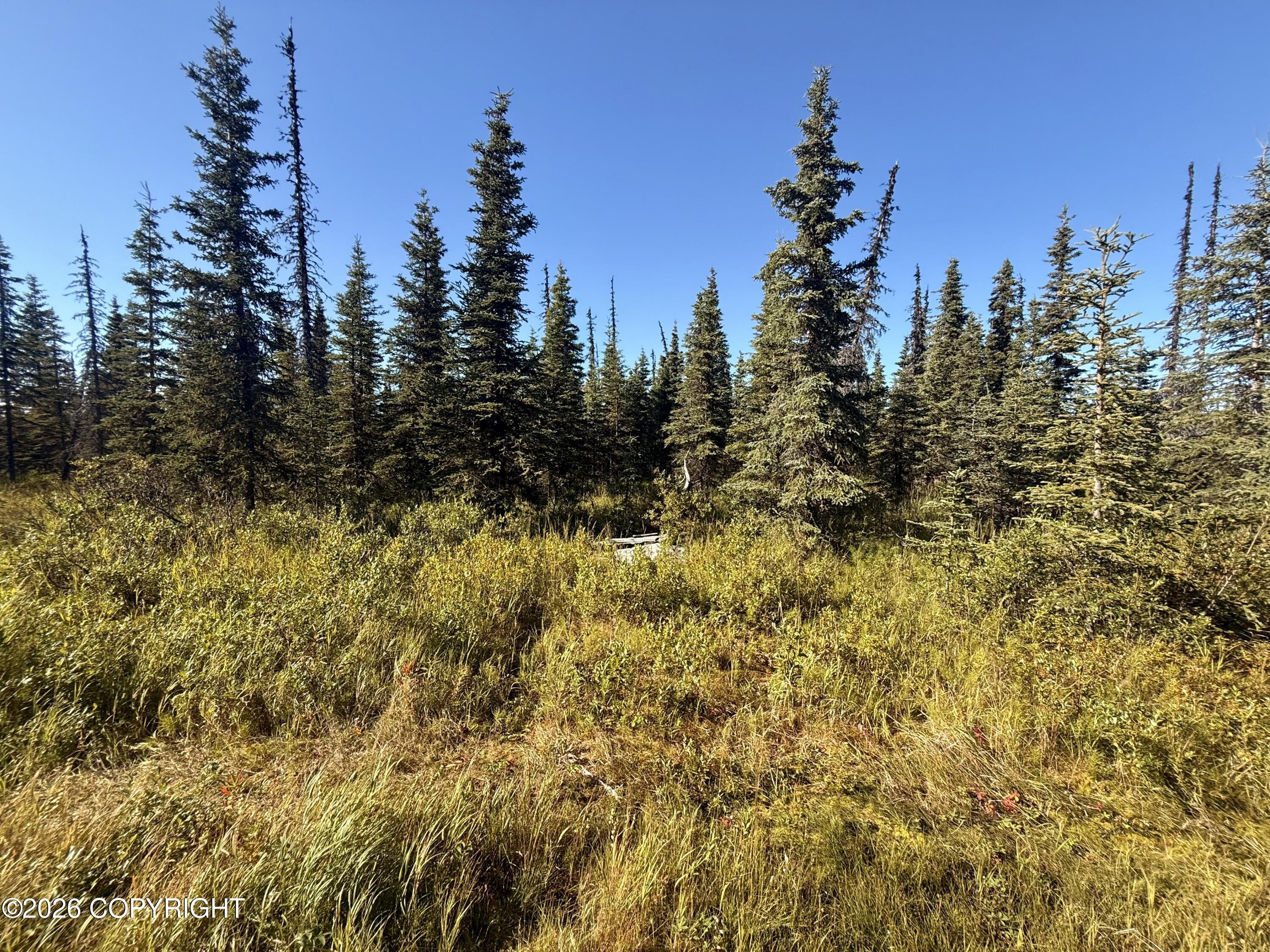 53496 Oil Well Road Property Photo 25