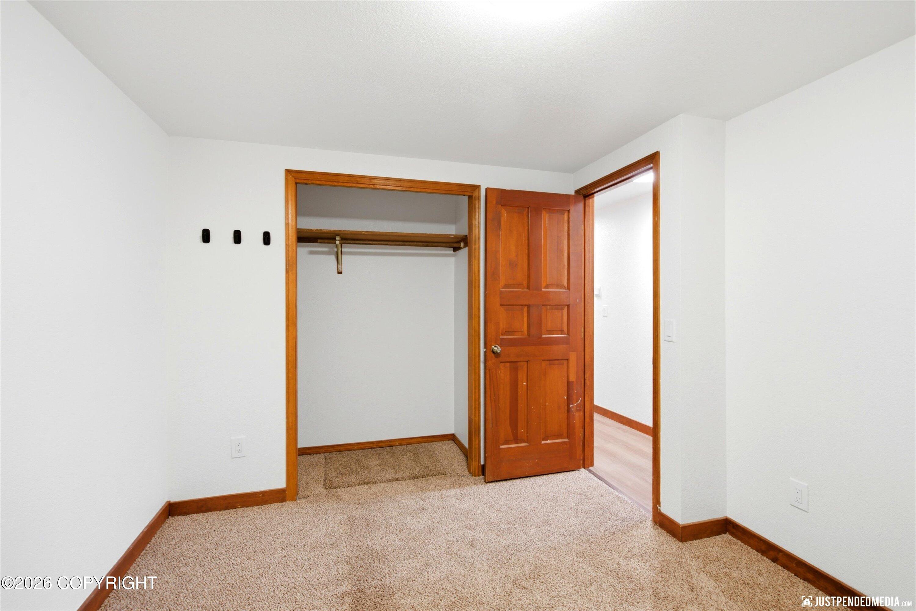 9321 Snow Bear Drive Property Photo 82