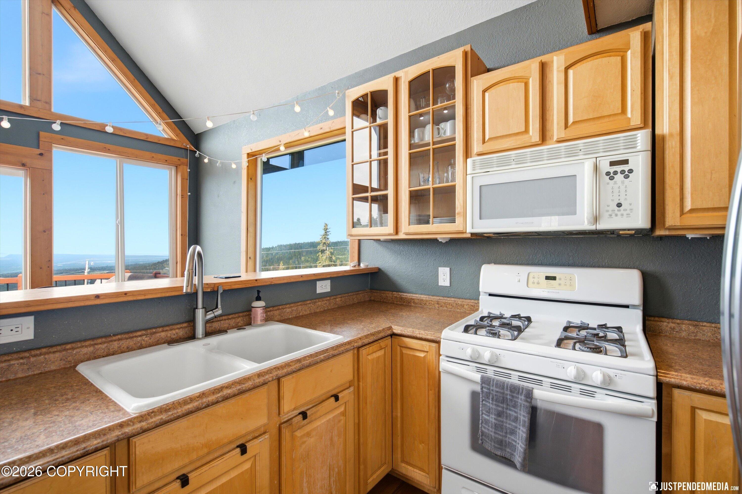 9321 Snow Bear Drive Property Photo 111