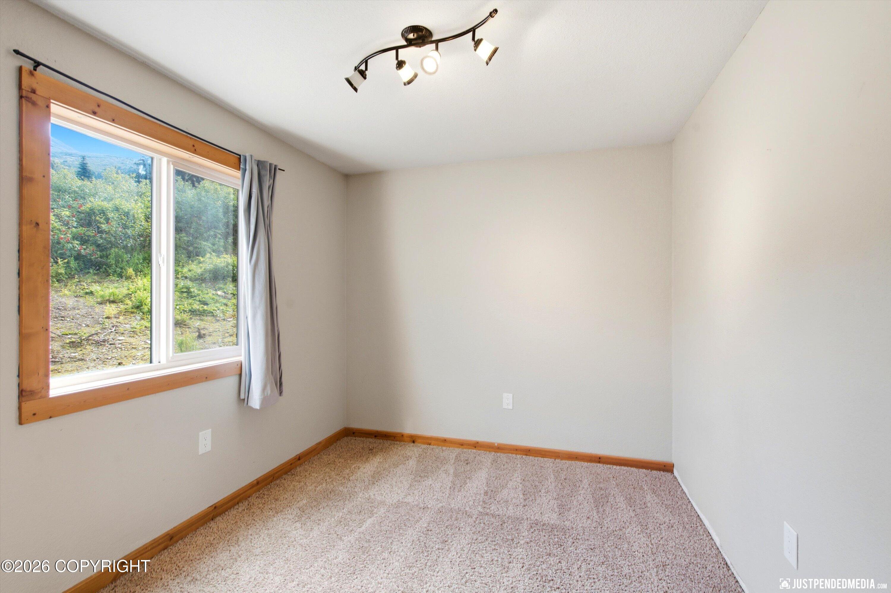 9321 Snow Bear Drive Property Photo 114