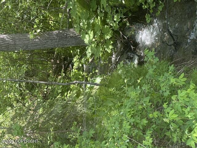 Nhn Eklund Lt 2 Blk 2 Property Photo 2