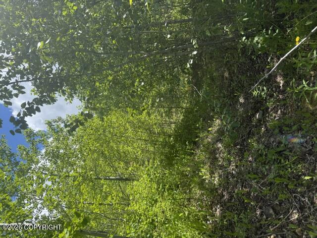 Nhn Eklund Lt 2 Blk 2 Property Photo 3