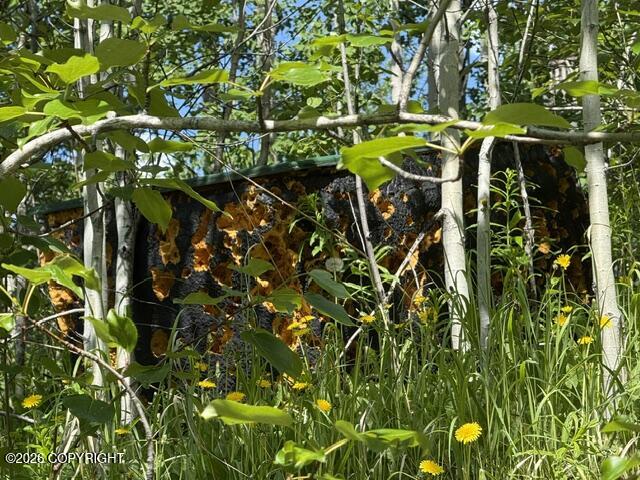 Nhn Eklund Lt 2 Blk 2 Property Photo 7