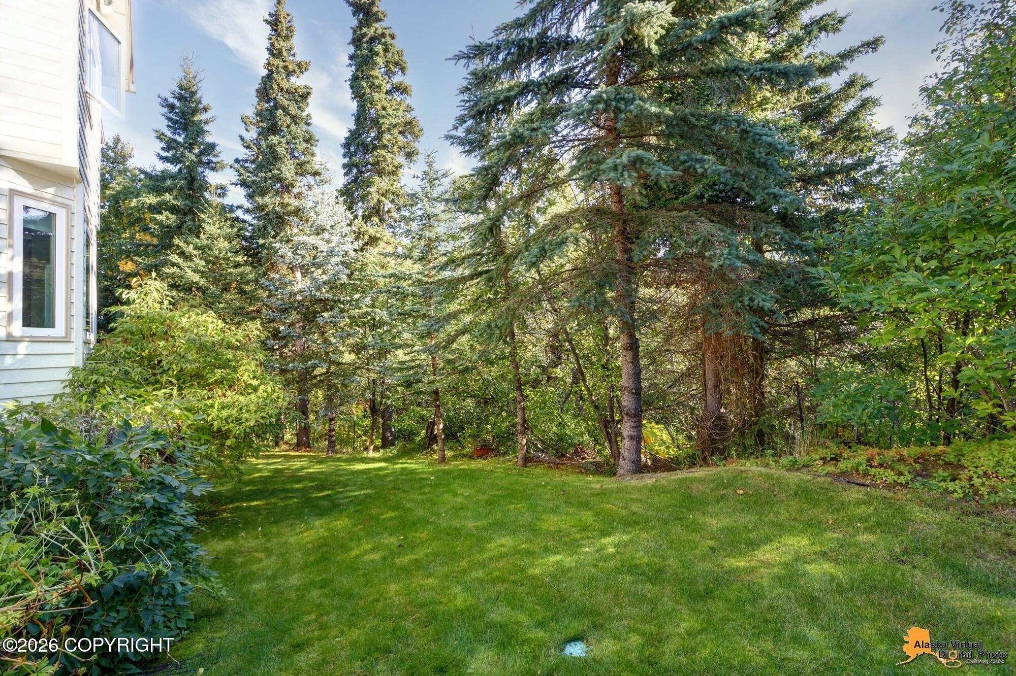 15721 Noble Point Drive Property Photo 65