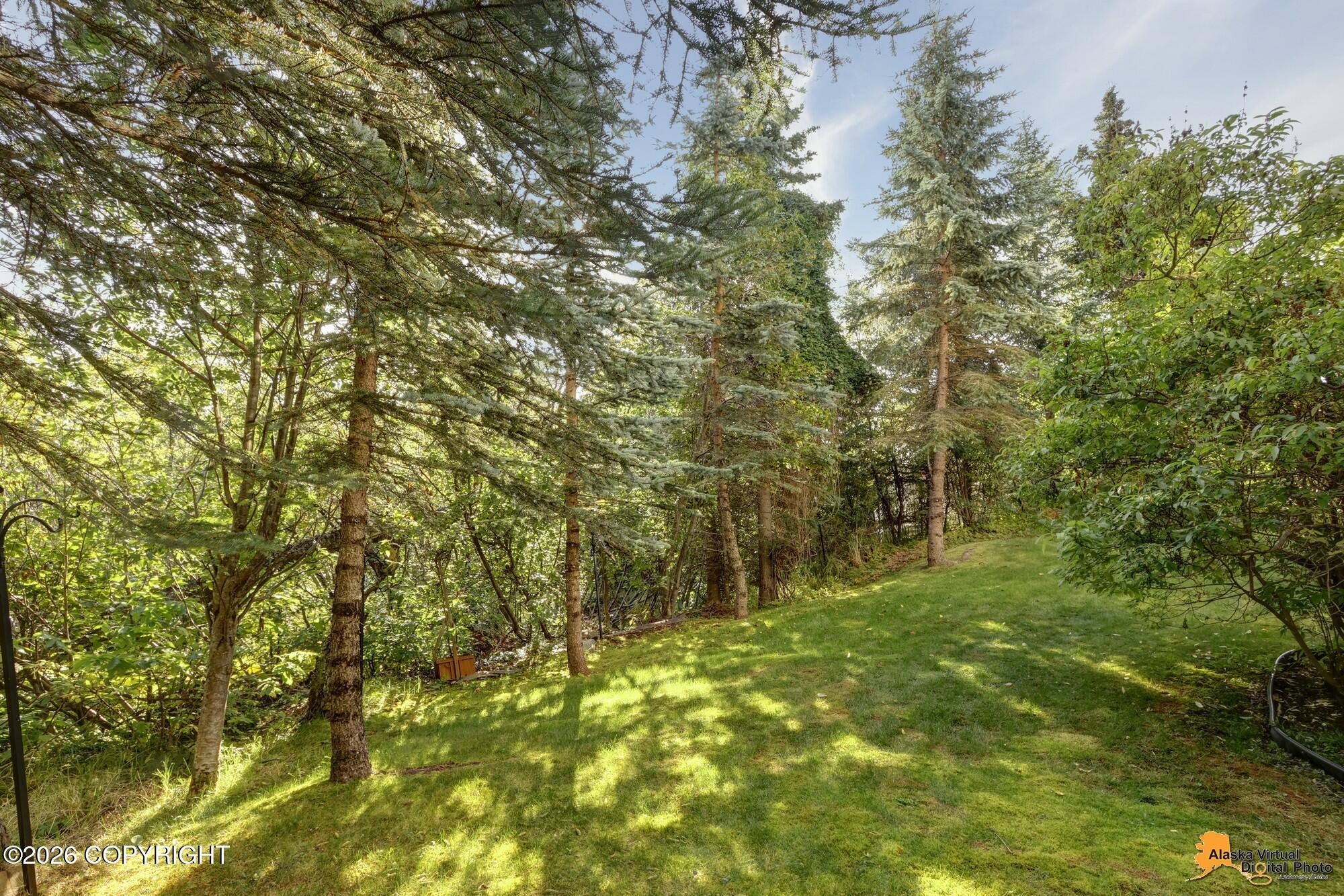 15721 Noble Point Drive Property Photo 66