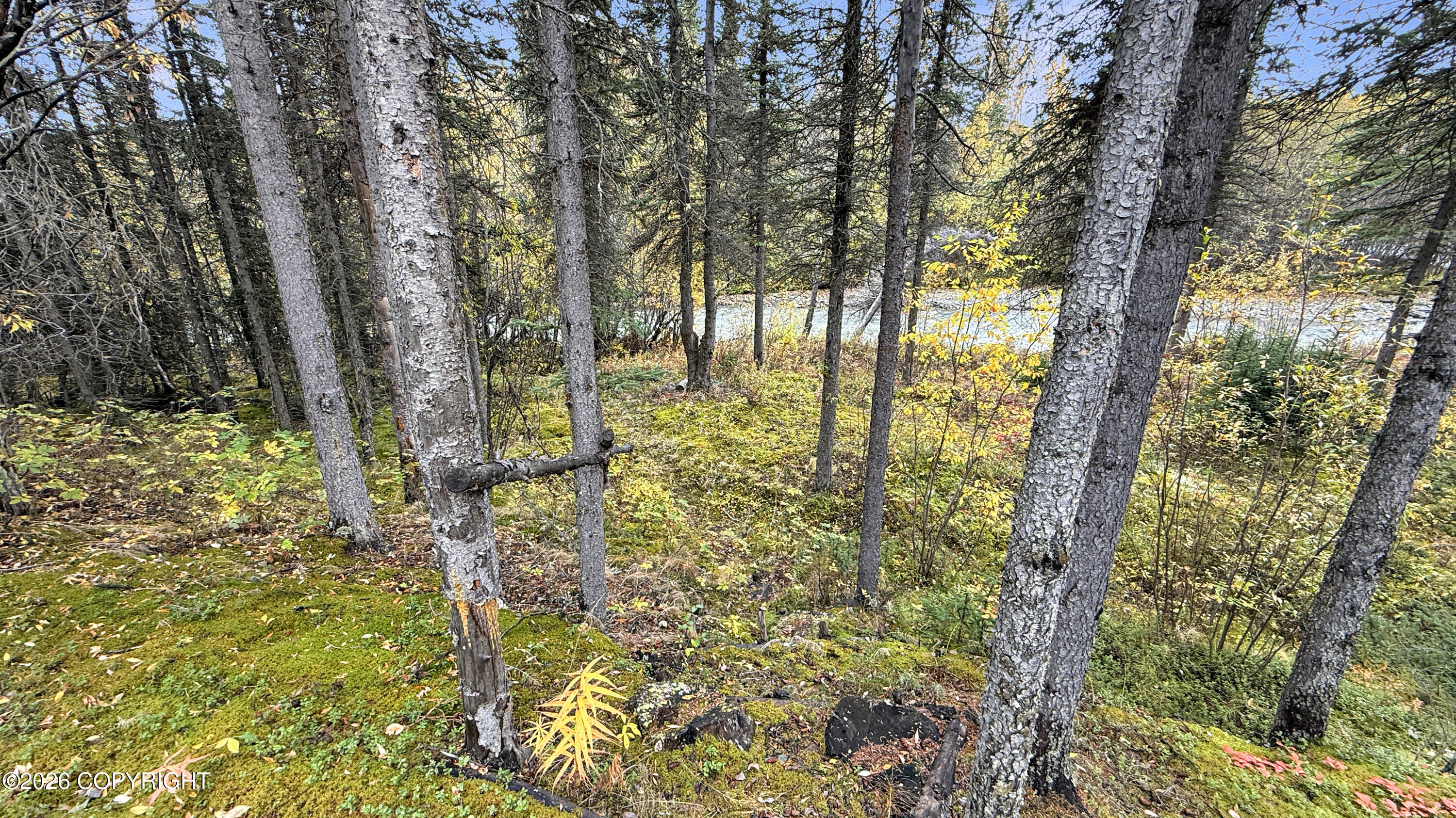 27 Mm Mccarthy Rd Chokosna River Property Photo 16