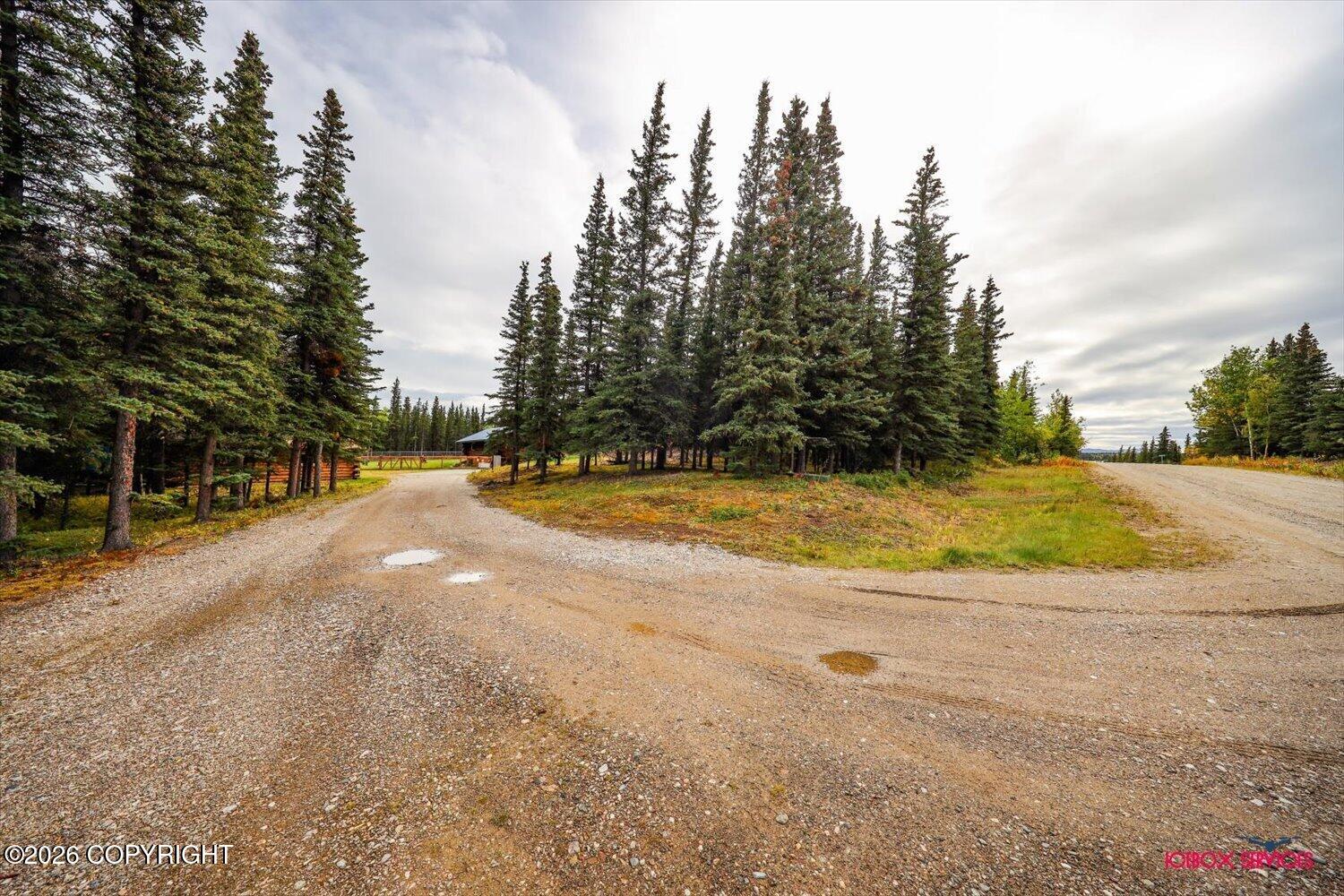 187 Chalcopyrite Court Property Photo 101