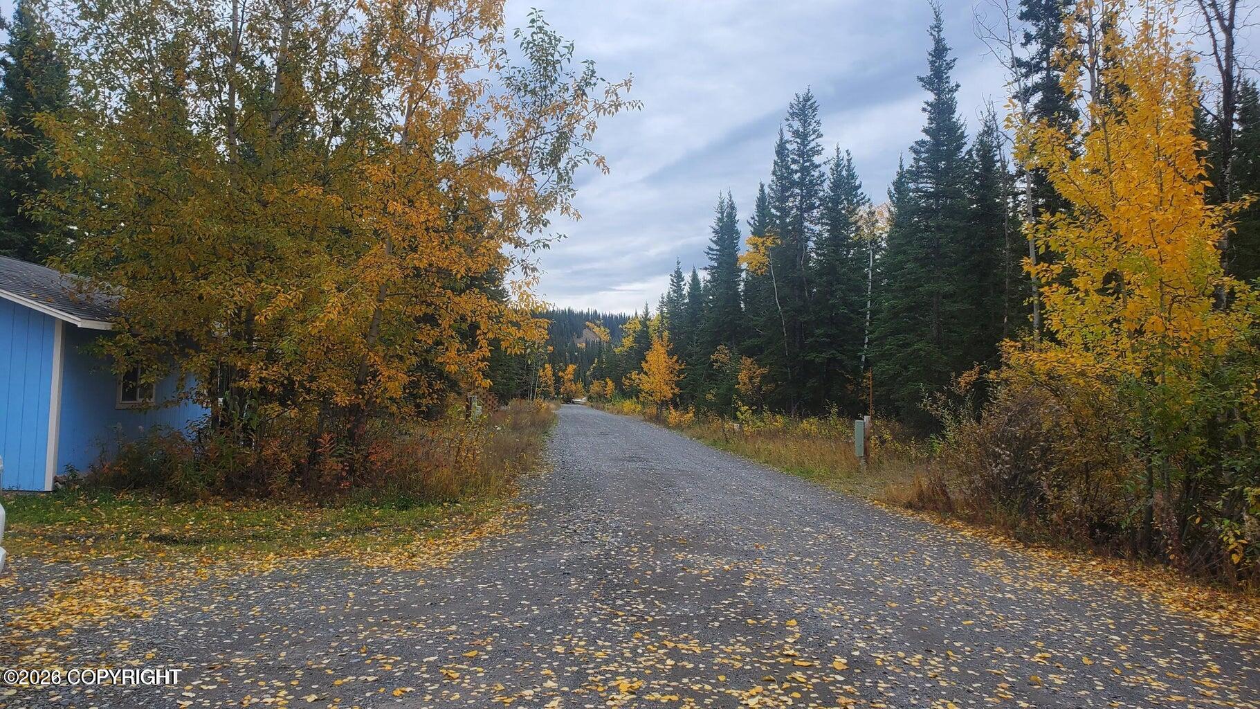 L1 B2 Larkspur Loop Property Photo 23