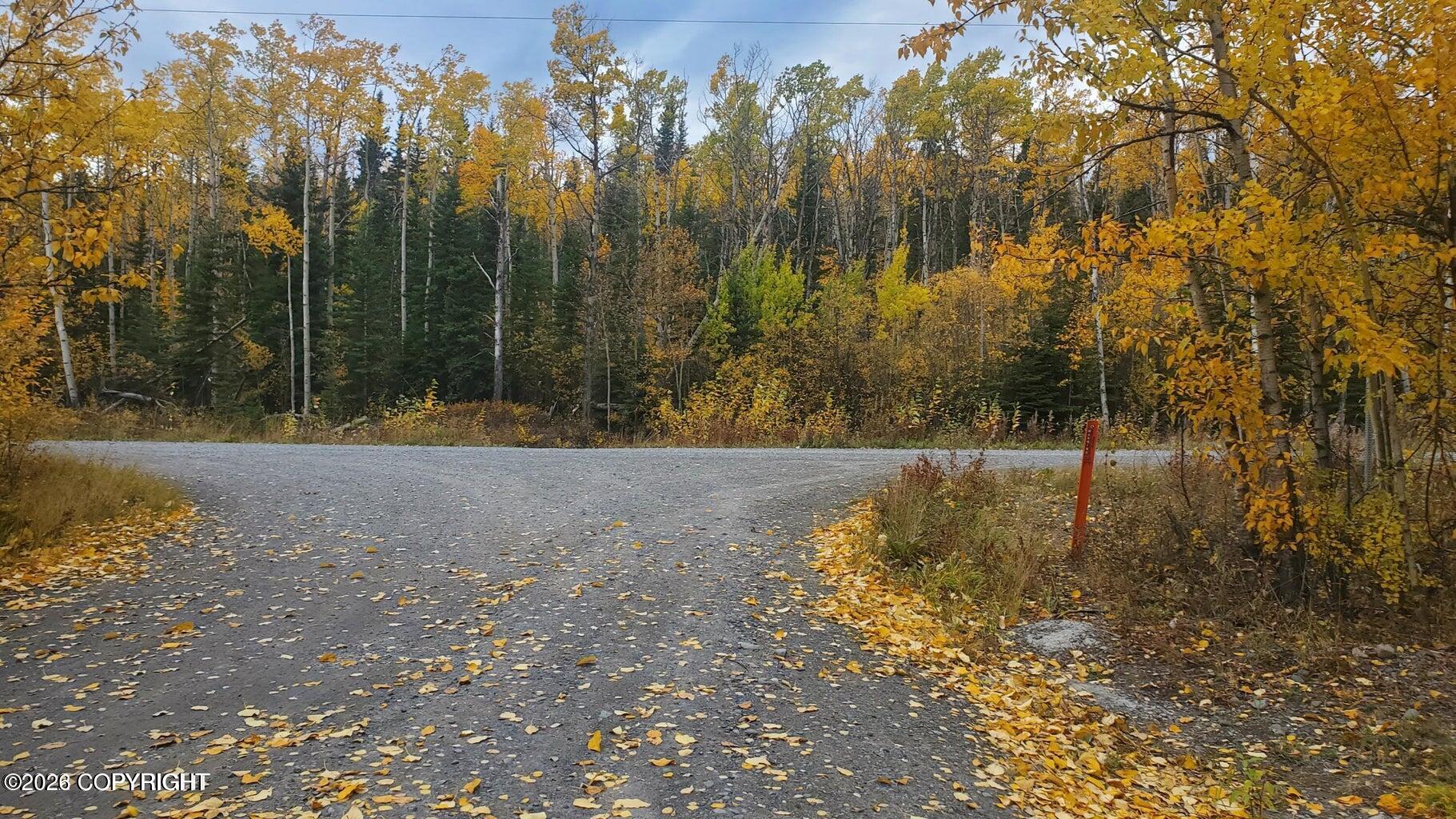L1 B2 Larkspur Loop Property Photo 24