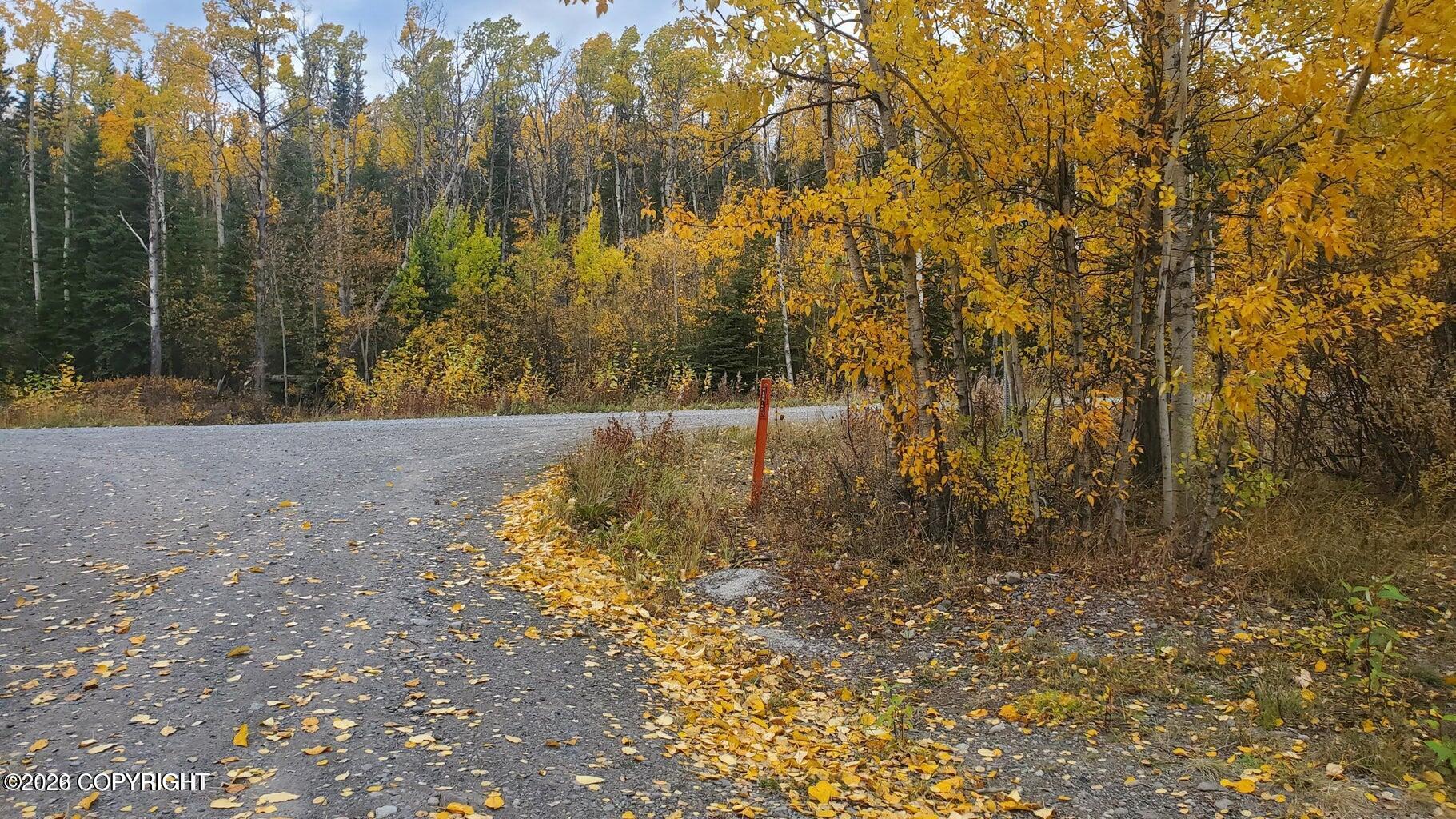L1 B2 Larkspur Loop Property Photo 25